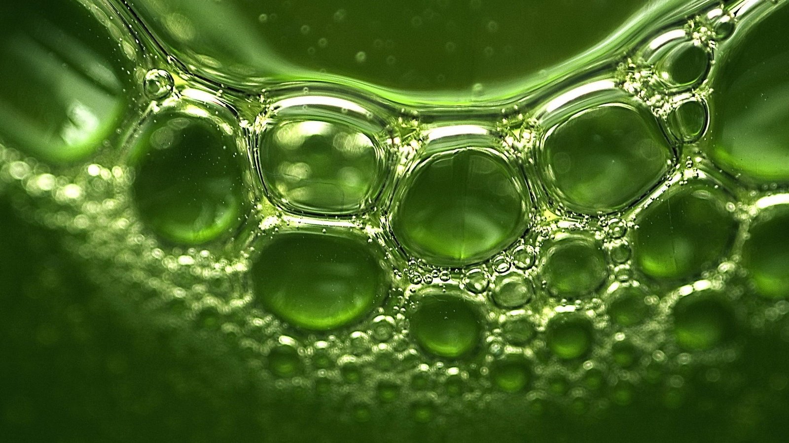 Обои зелень, отражение, пузыри, greens, reflection, bubbles разрешение 1920x1440 Загрузить