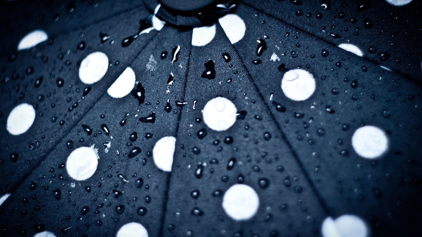 Обои капли, круги, зонт, зонтик, капли дождя, drops, circles, umbrella, raindrops разрешение 2560x1713 Загрузить