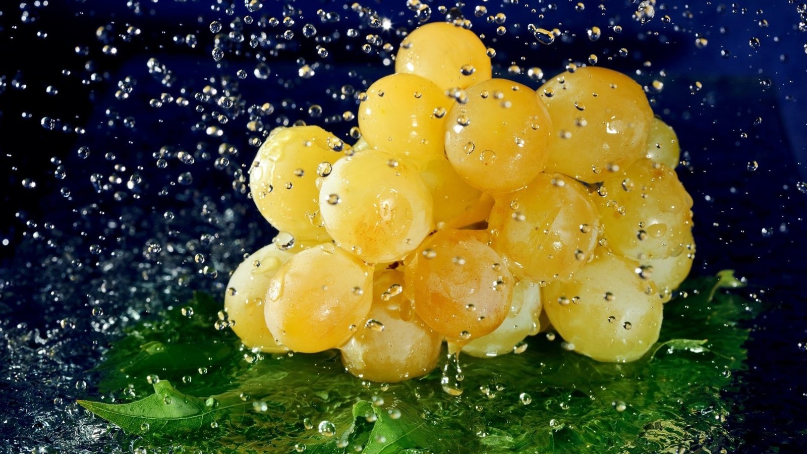 Обои вода, виноград, капли, ягода, лист, гроздь, water, grapes, drops, berry, sheet, bunch разрешение 1920x1253 Загрузить