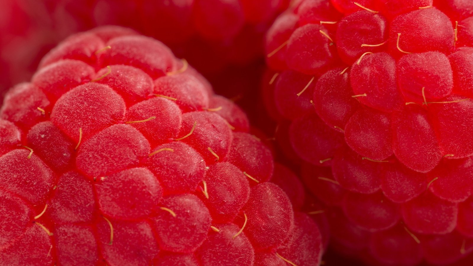 Обои макро, малина, ягода, красная, macro, raspberry, berry, red разрешение 1920x1300 Загрузить