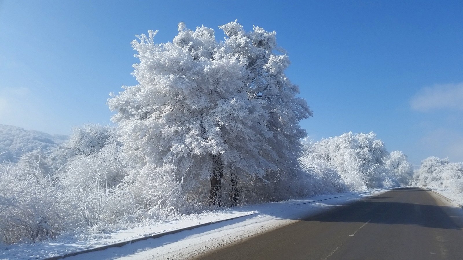 Обои небо, дорога, деревья, снег, природа, зима, кусты, иней, the sky, road, trees, snow, nature, winter, the bushes, frost разрешение 1920x1080 Загрузить