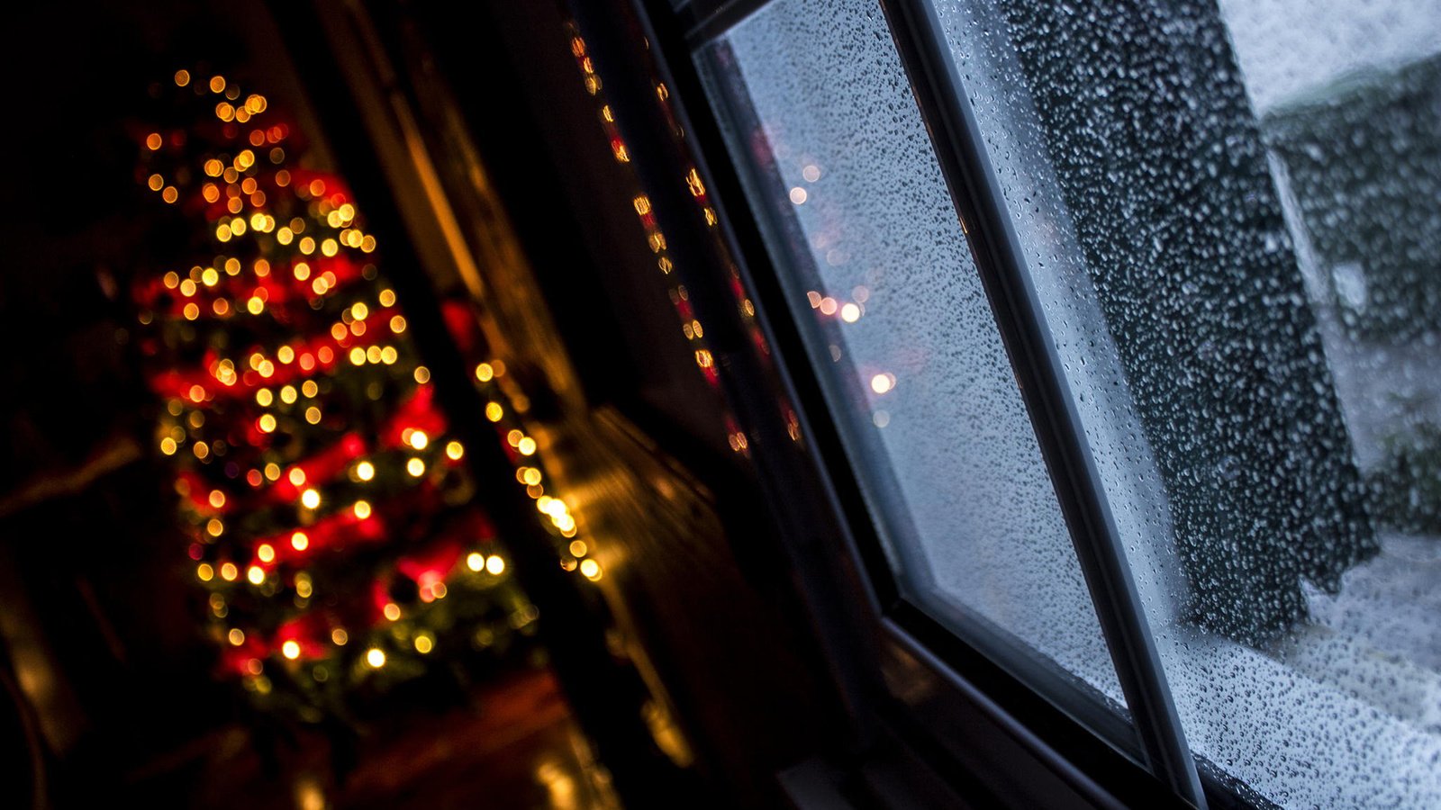 Обои новый год, елка, окно, рождество, огоньки, гирлянда, боке, alvaro miranda, new year, tree, window, christmas, lights, garland, bokeh разрешение 1920x1200 Загрузить
