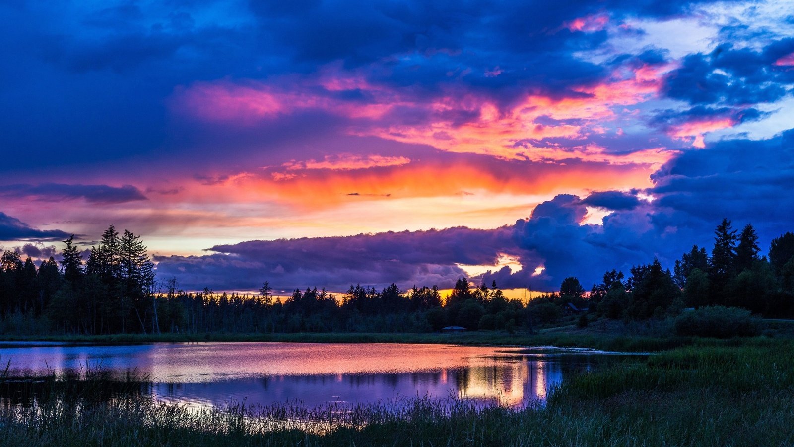 Обои деревья, вечер, озеро, природа, закат, пейзаж, небо облака, trees, the evening, lake, nature, sunset, landscape, sky clouds разрешение 3840x2160 Загрузить