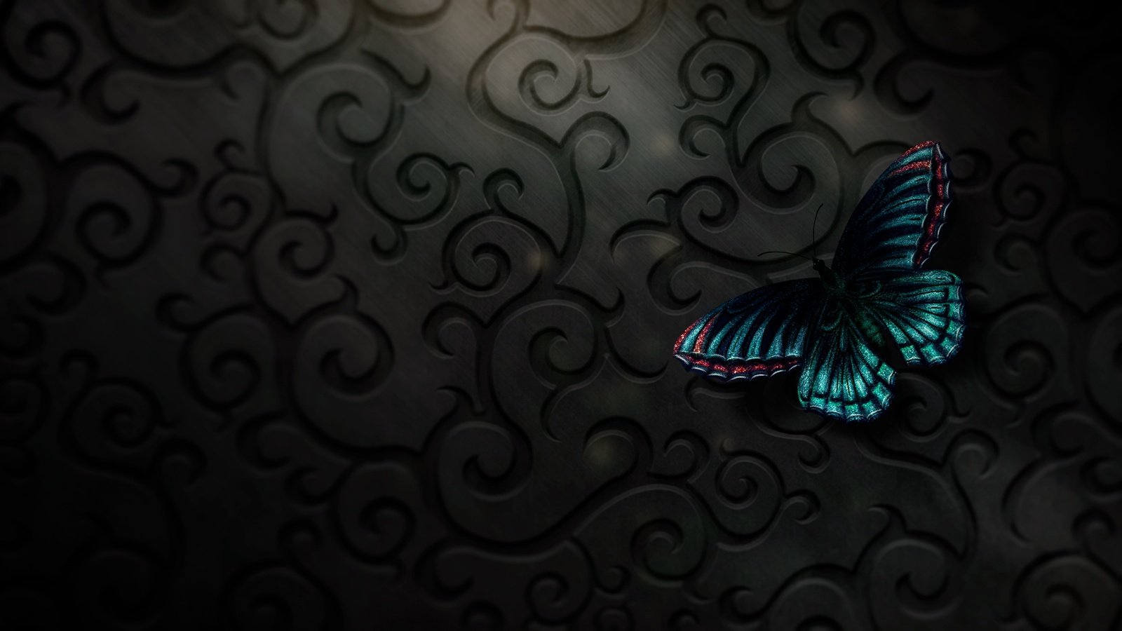 Обои бабочка, butterfly разрешение 2560x1440 Загрузить