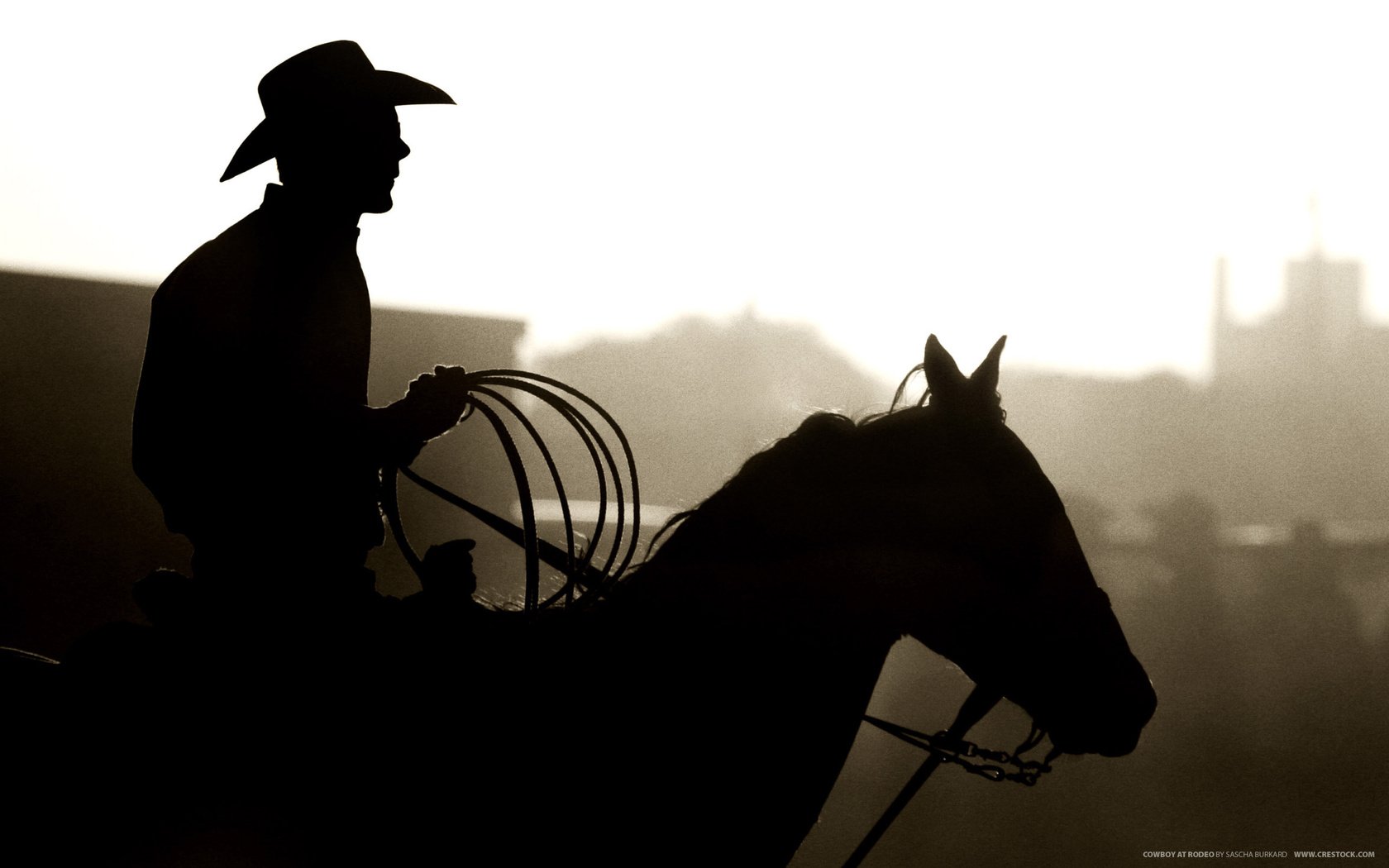 Обои лошадь, силуэт, конь, шляпа, ковбой, лассо, horse, silhouette, hat, cowboy, lasso разрешение 2560x1600 Загрузить