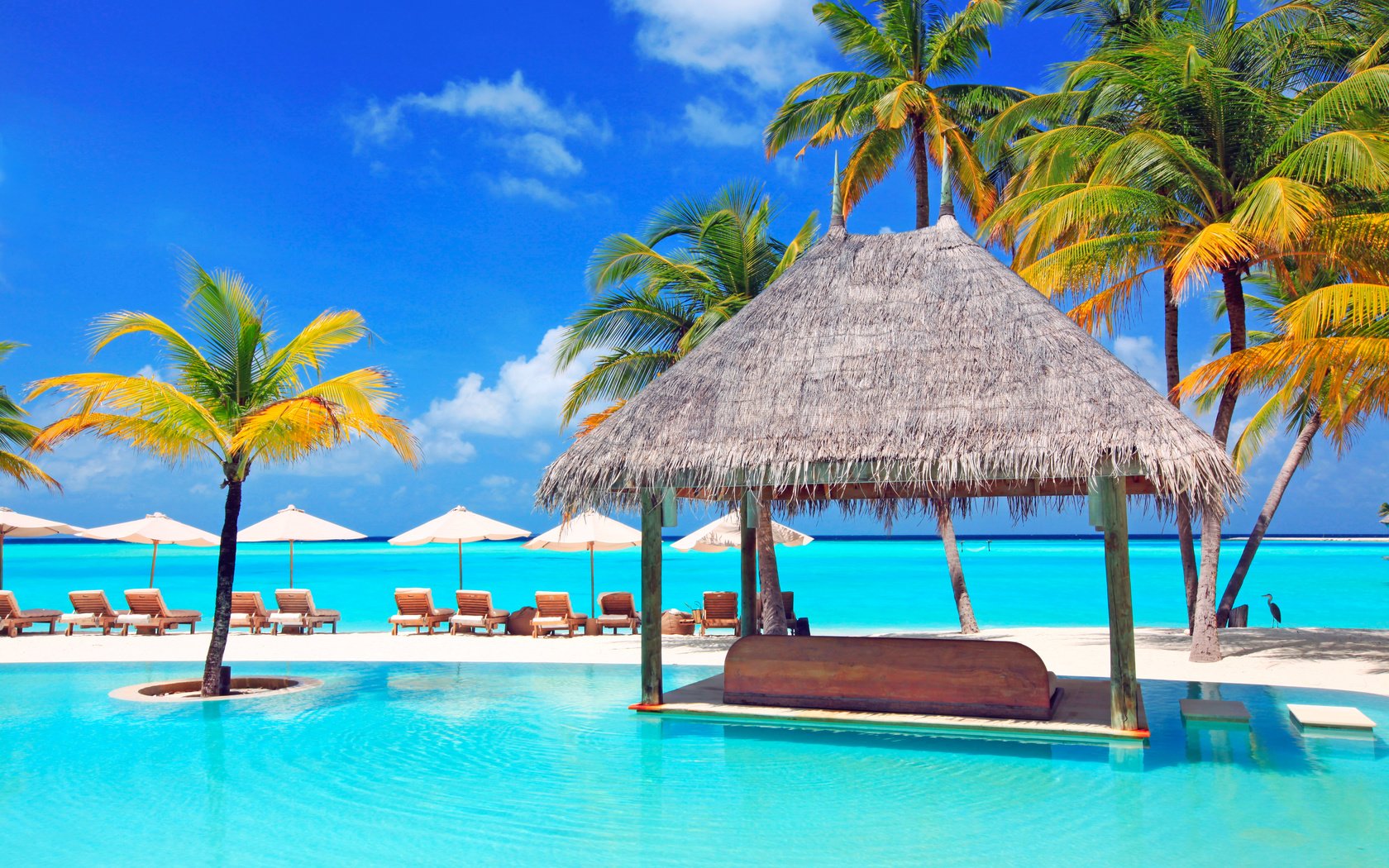 Обои море, пляж, бассейн, отдых, курорт, тропики, мальдивы, sea, beach, pool, stay, resort, tropics, the maldives разрешение 5616x3744 Загрузить
