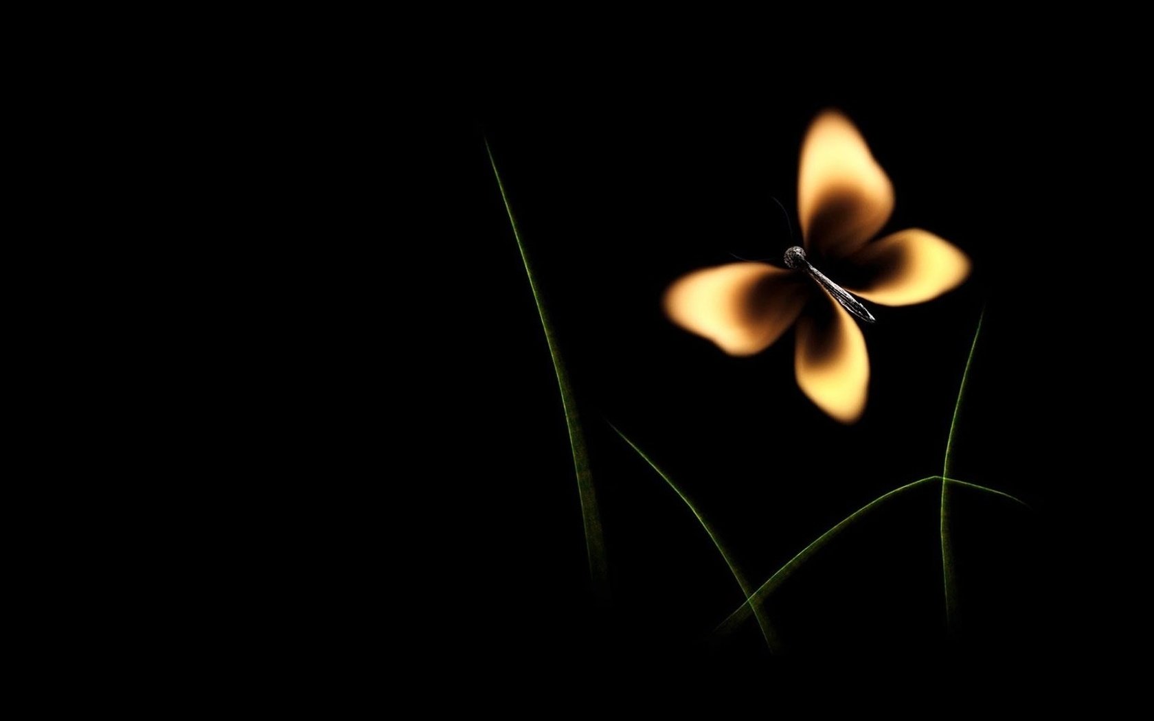 Обои бабочка, огонь, минимализм, черный фон, спичка, butterfly, fire, minimalism, black background, match разрешение 1920x1080 Загрузить