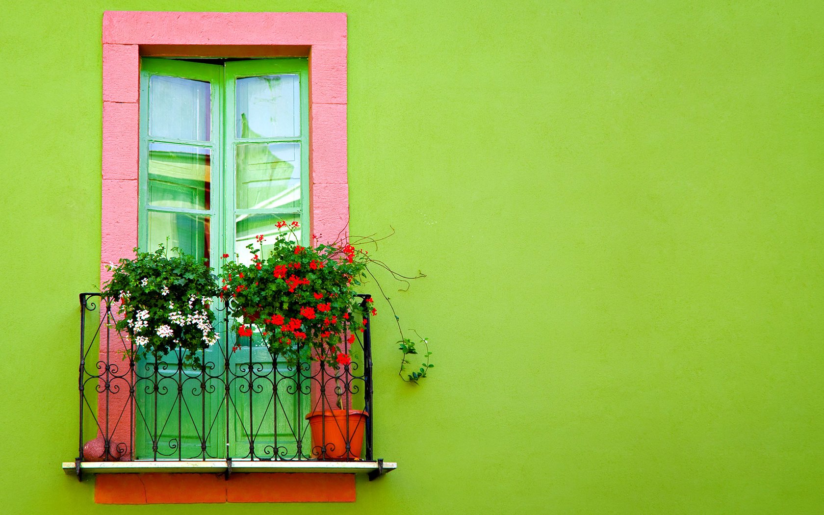 Обои цветы, фон, здание, балкон, flowers, background, the building, balcony разрешение 1920x1080 Загрузить