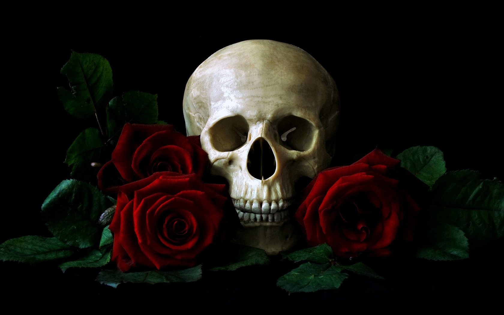 Обои череп, красных, на, среди, роз, лежащий, столе, skull, red, on, among, roses, lying, the table разрешение 1920x1080 Загрузить