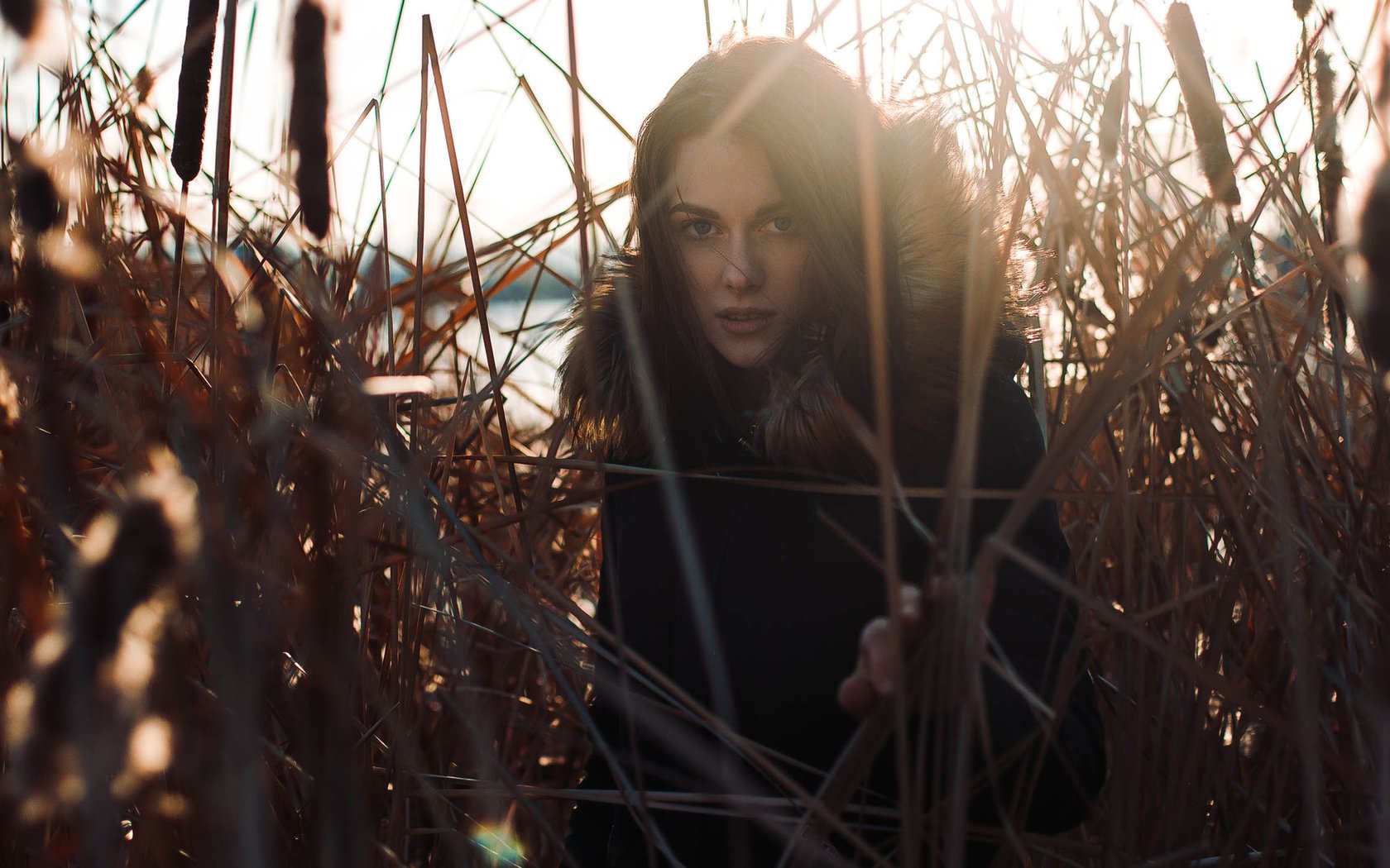 Обои глаза, река, берег, взгляд, осень, женщина, камыши, eyes, river, shore, look, autumn, woman, the reeds разрешение 1920x1200 Загрузить