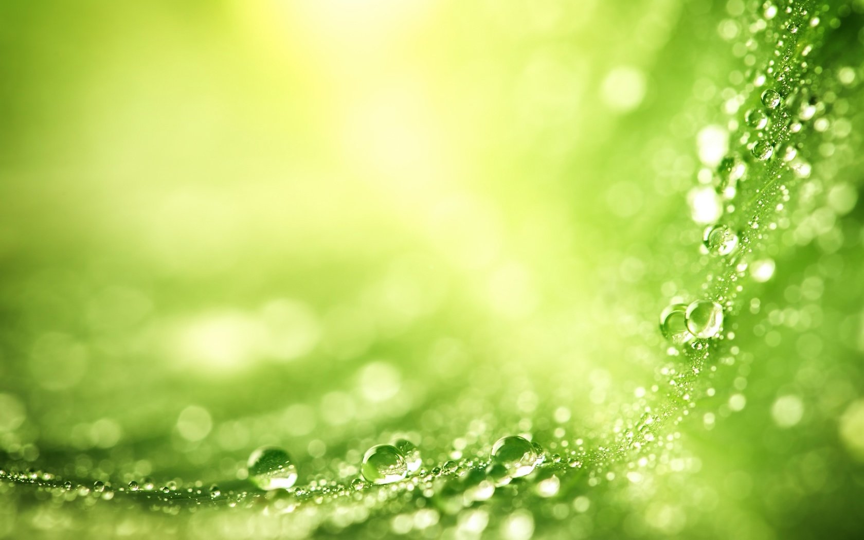 Обои зелёный, макро, капли, воды, лист, green, macro, drops, water, sheet разрешение 2048x1365 Загрузить