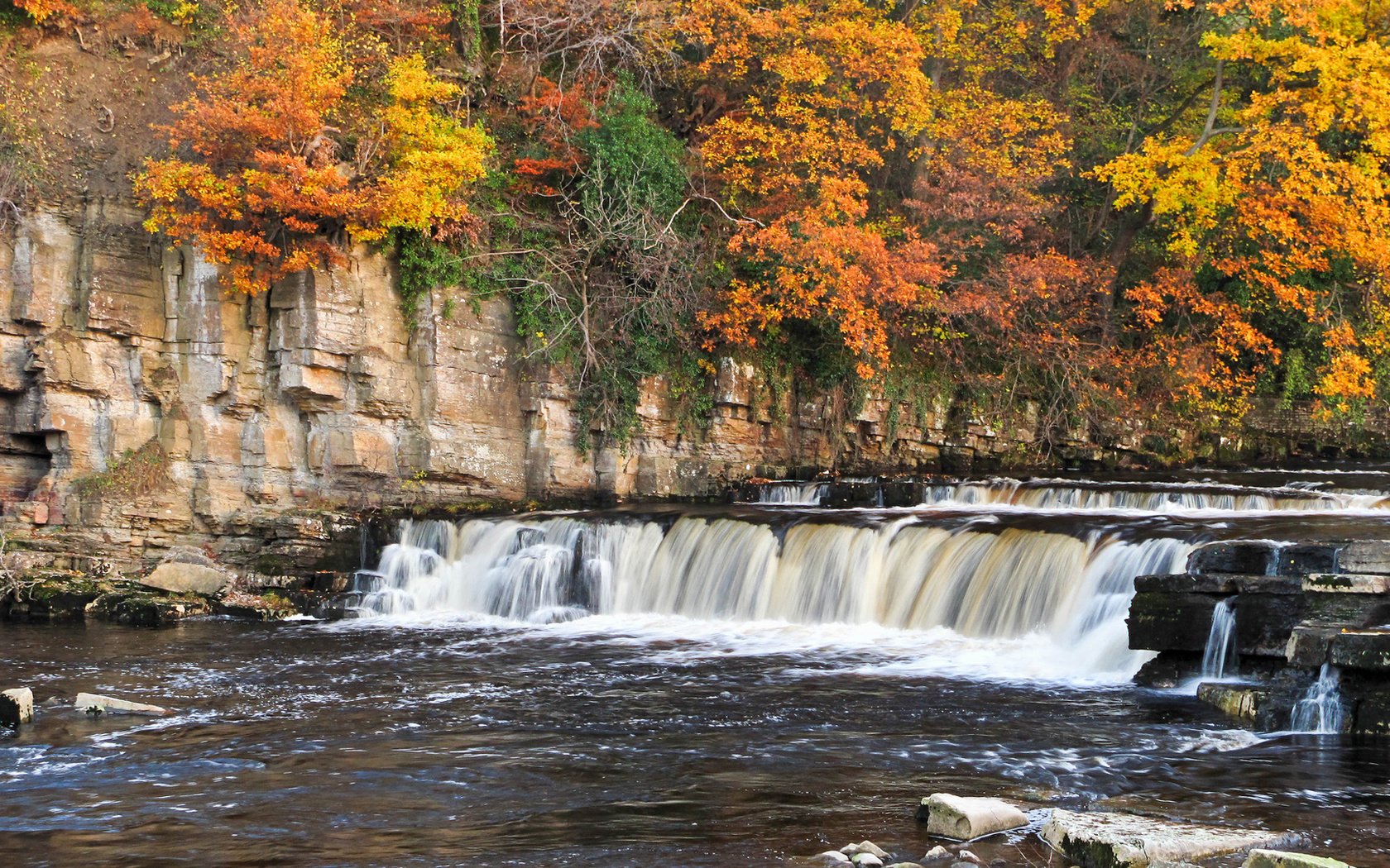 Обои деревья, река, горы, скалы, пороги, осень, richmond falls, trees, river, mountains, rocks, thresholds, autumn разрешение 1920x1101 Загрузить