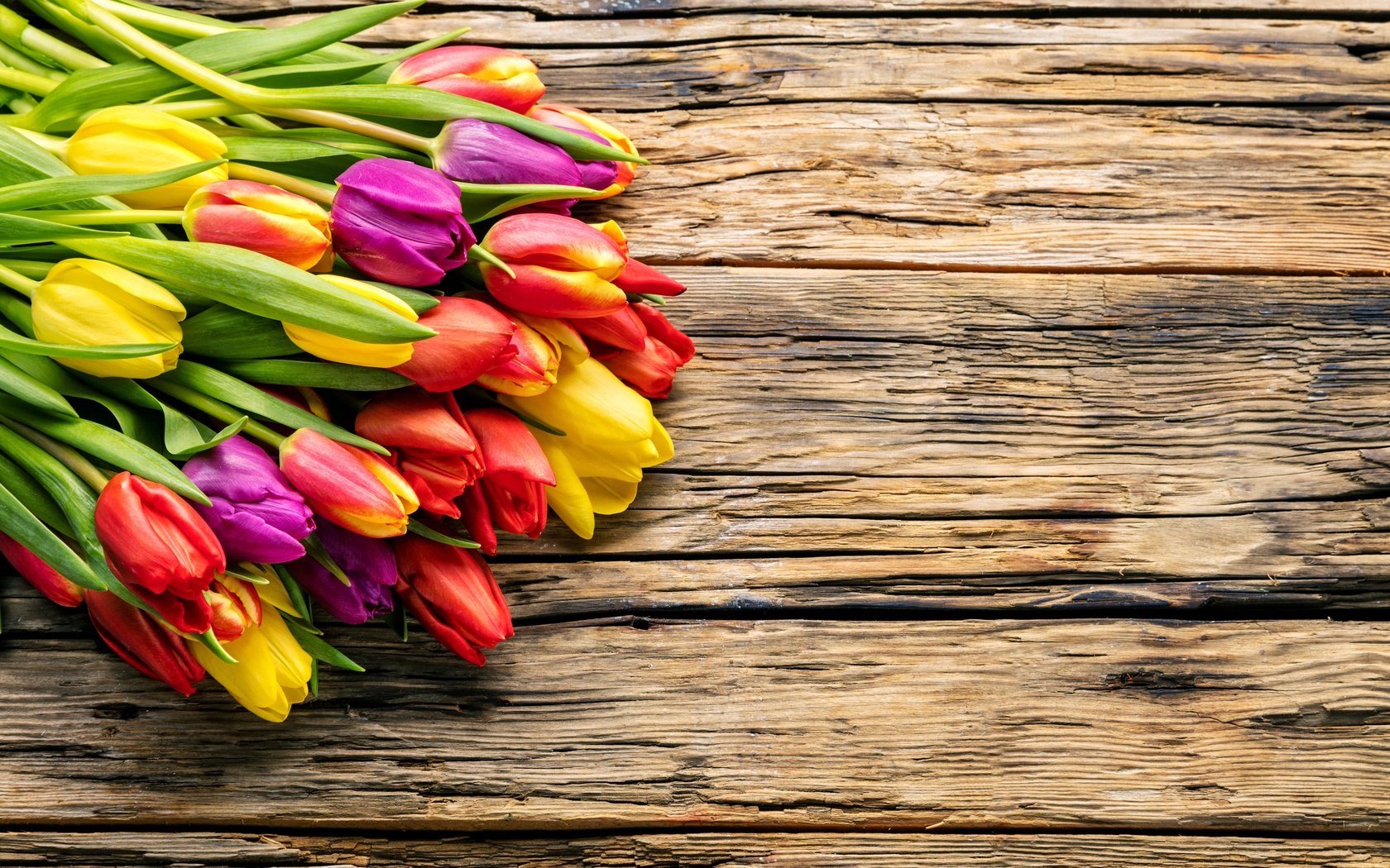 Обои парное, цветы, весенние, весна, красочная, букет, тюльпаны, дерева, красива, тульпаны,  цветы, яркая, fresh, flowers, spring, colorful, bouquet, tulips, wood, beautiful, bright разрешение 6309x4206 Загрузить