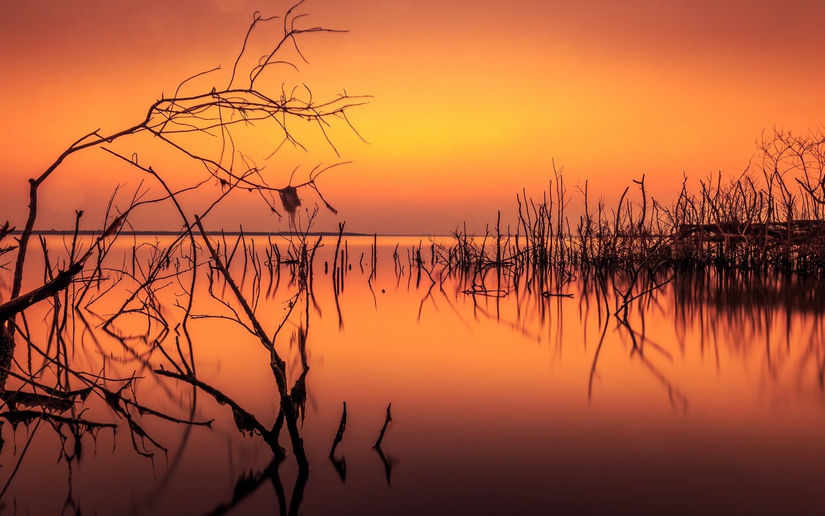 Обои озеро, ветки, силуэты, зарево, lake, branches, silhouettes, glow разрешение 2048x1268 Загрузить