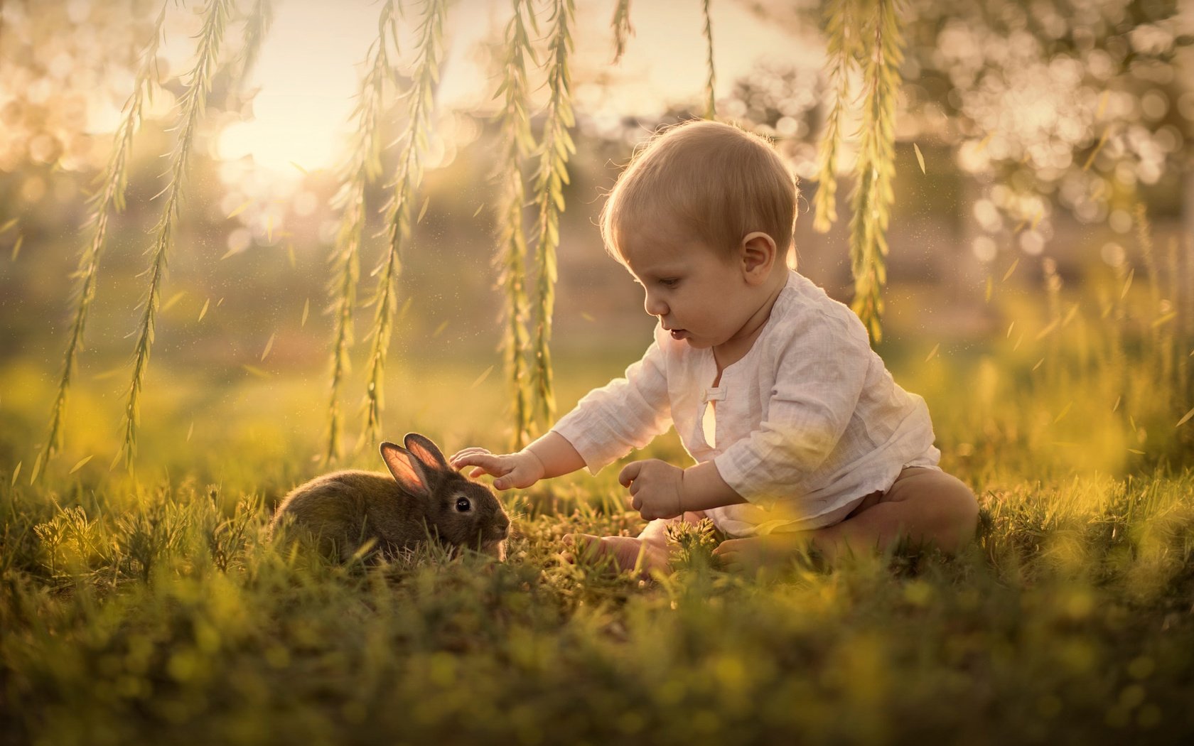 Обои трава, sveta butko, природа, ветки, дети, ребенок, кролик, животное, малыш, grass, nature, branches, children, child, rabbit, animal, baby разрешение 2048x1365 Загрузить