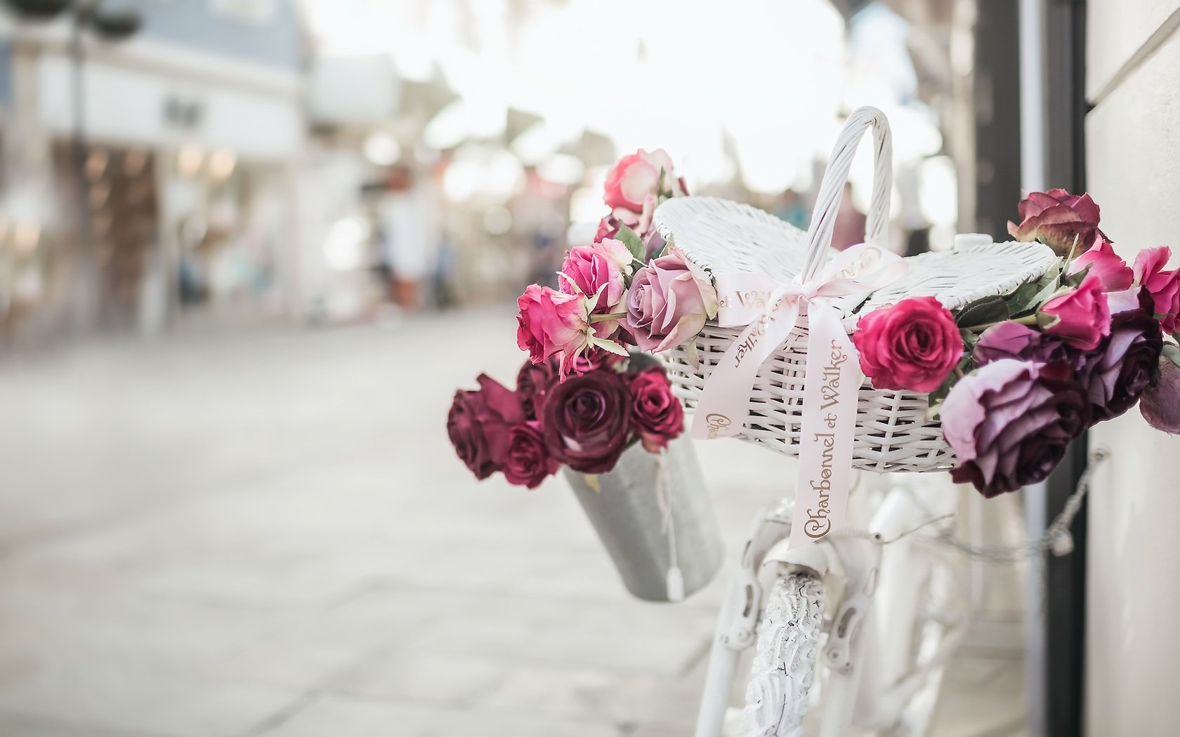 Обои цветы, розы, улица, велосипед, корзинка, flowers, roses, street, bike, basket разрешение 2500x1733 Загрузить