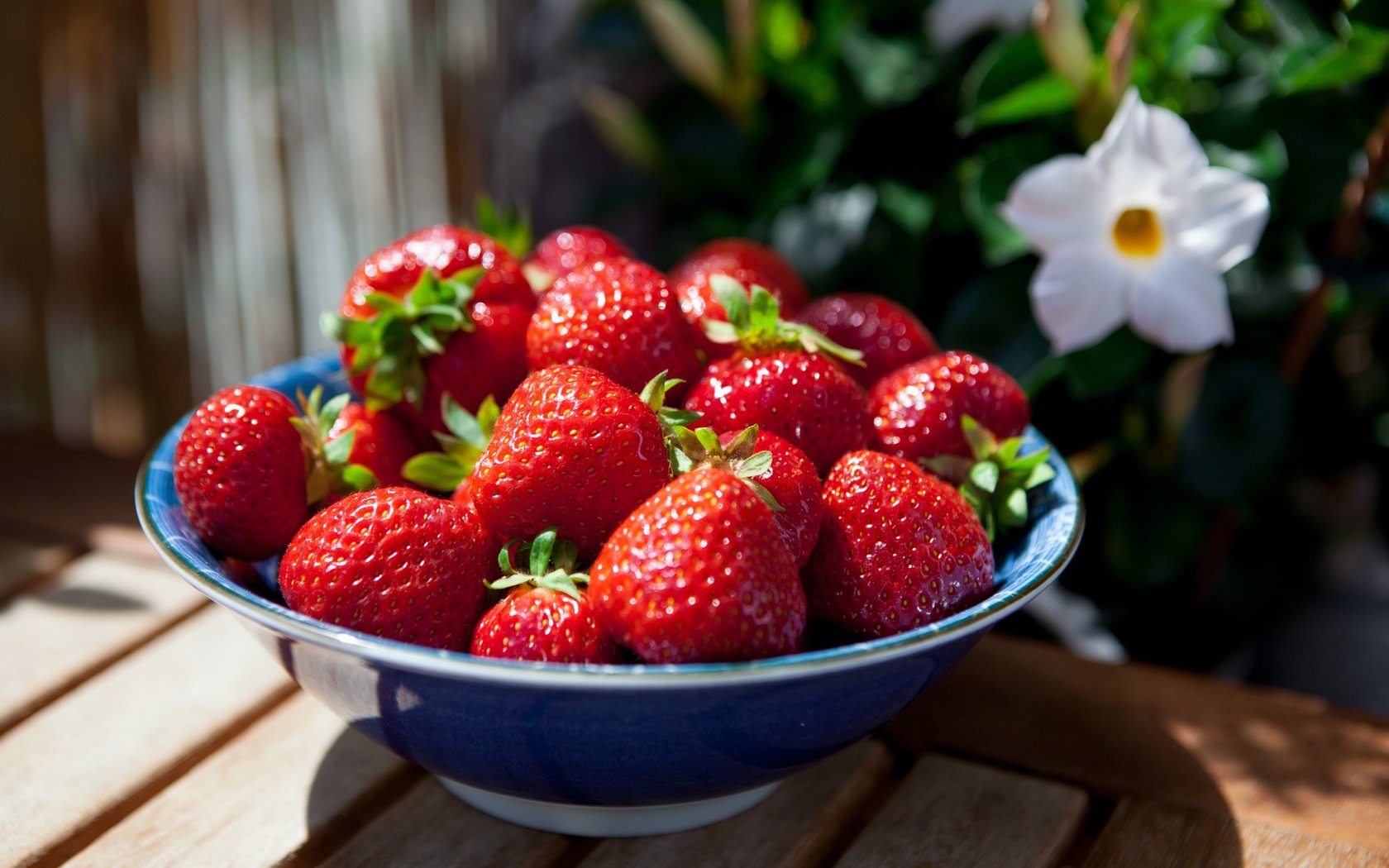 Обои цветы, лето, клубника, ягоды, миска, деревянная поверхность, flowers, summer, strawberry, berries, bowl, wooden surface разрешение 5452x3635 Загрузить