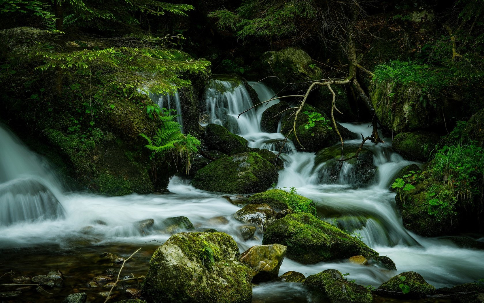 Обои камни, лес, водопад, поток, мох, stones, forest, waterfall, stream, moss разрешение 3840x2160 Загрузить