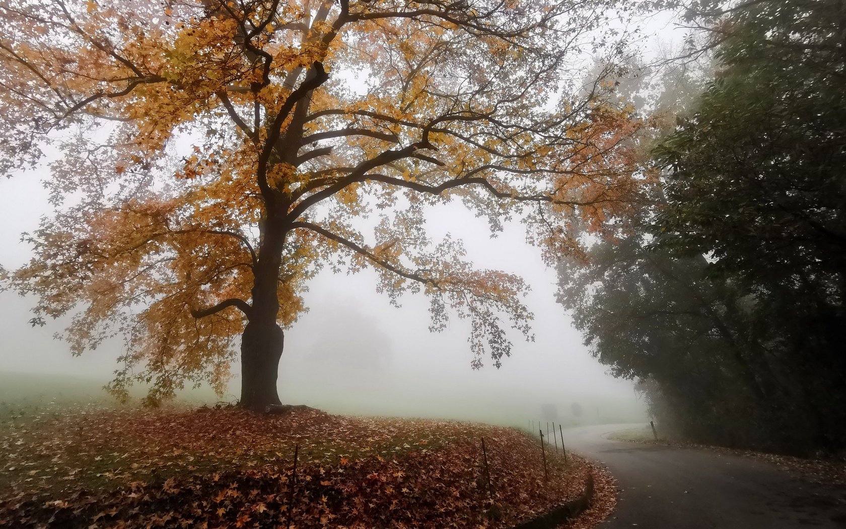 Обои дорога, туман, осень, road, fog, autumn разрешение 3840x2160 Загрузить