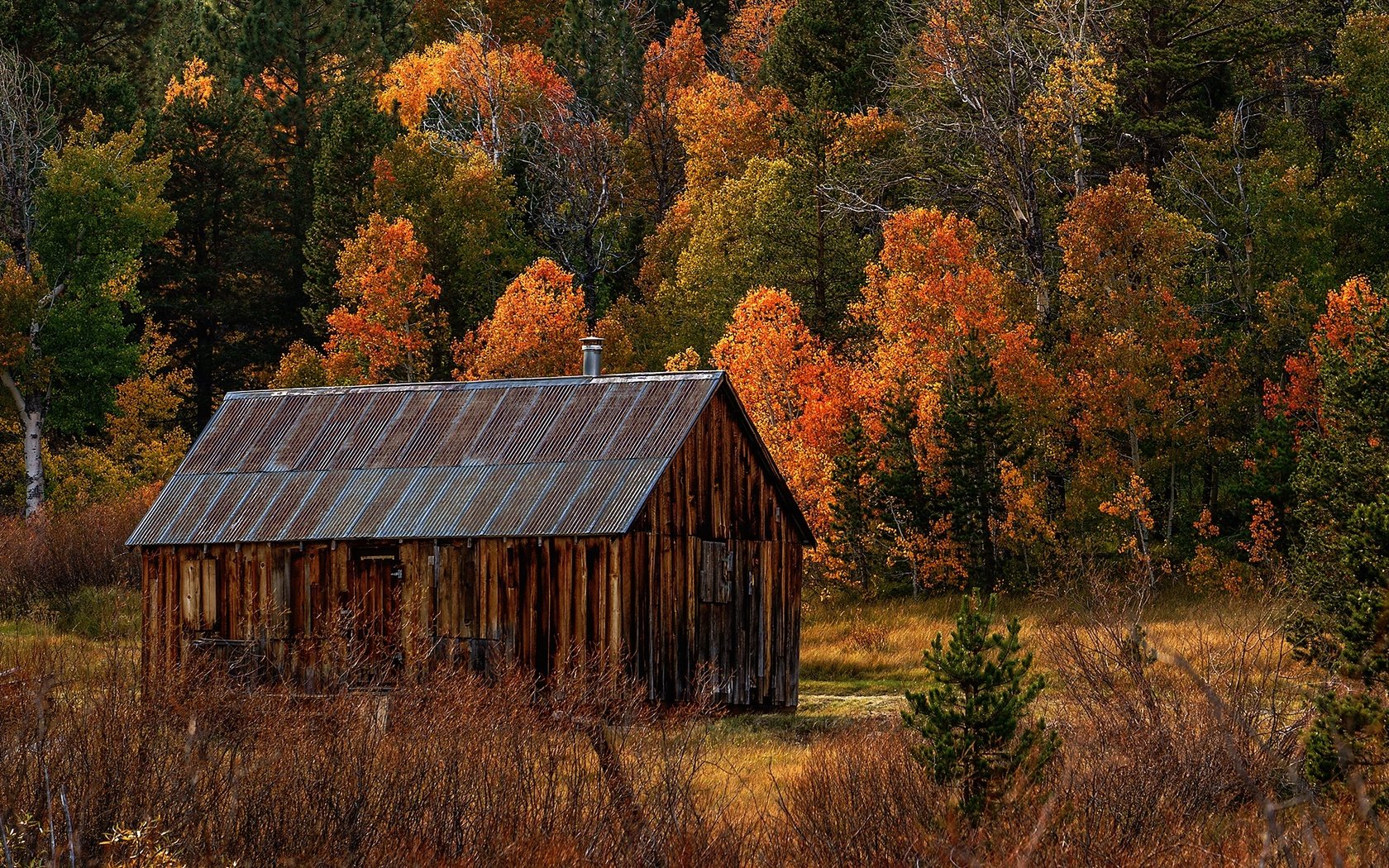 Обои деревья, лес, осень, сша, калифорния, сарай, trees, forest, autumn, usa, ca, the barn разрешение 2200x1237 Загрузить