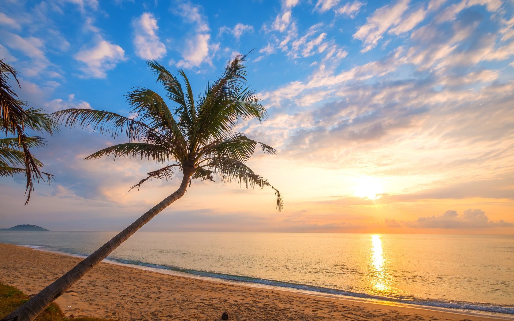 Обои закат, пляж, пальма, sunset, beach, palma разрешение 6000x4000 Загрузить