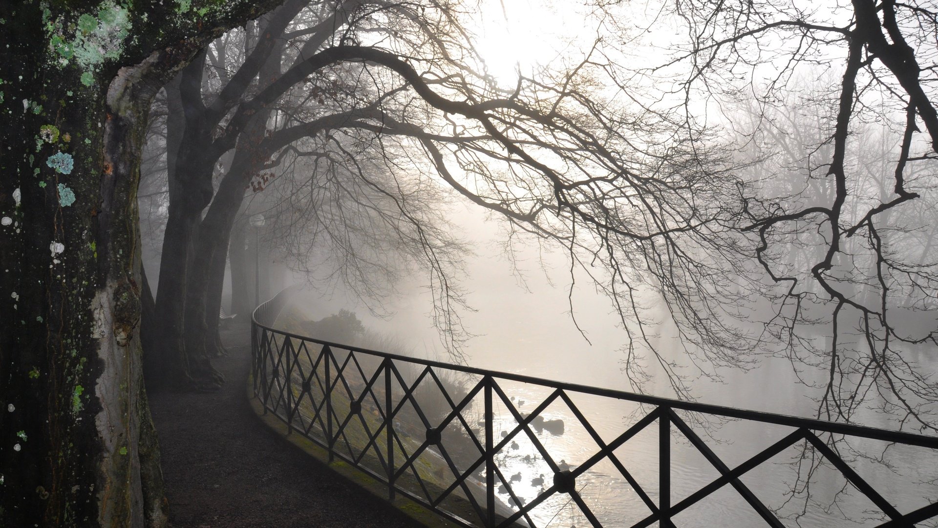 Обои дорога, ограждение, деревья, река, природа, лес, туман, ветви, осень, road, the fence, trees, river, nature, forest, fog, branch, autumn разрешение 4288x2848 Загрузить