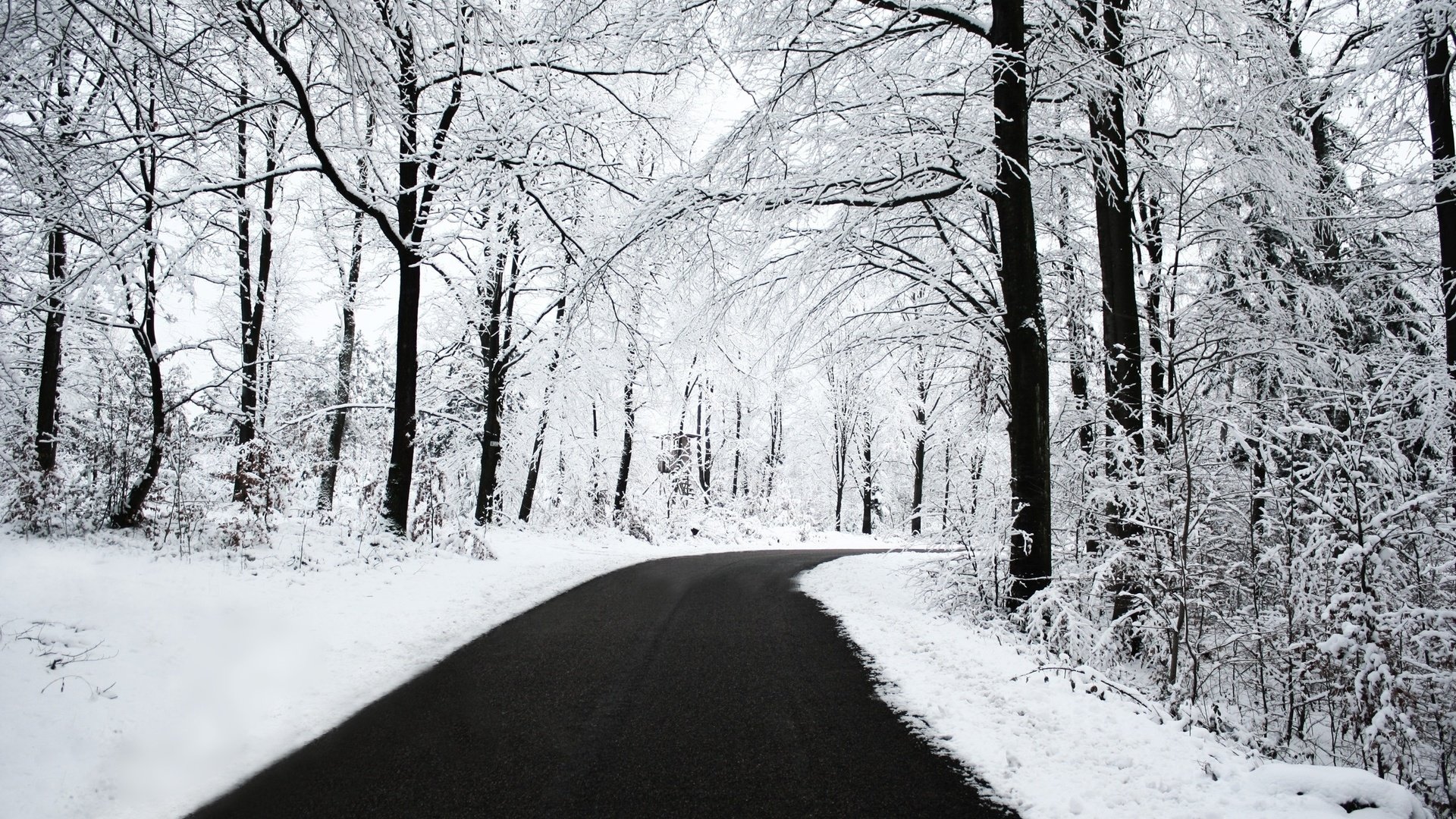 Обои дорога, снег, лес, зима, road, snow, forest, winter разрешение 2560x1600 Загрузить