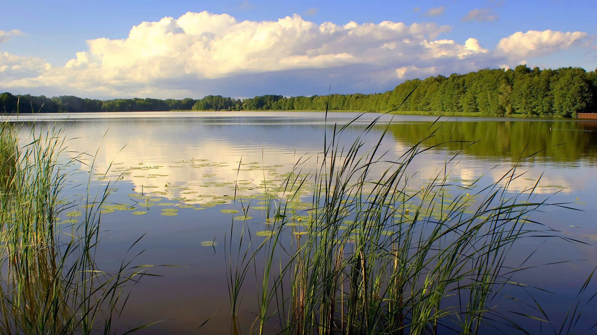 Обои небо, река, природа, лес, пейзаж, the sky, river, nature, forest, landscape разрешение 1920x1200 Загрузить