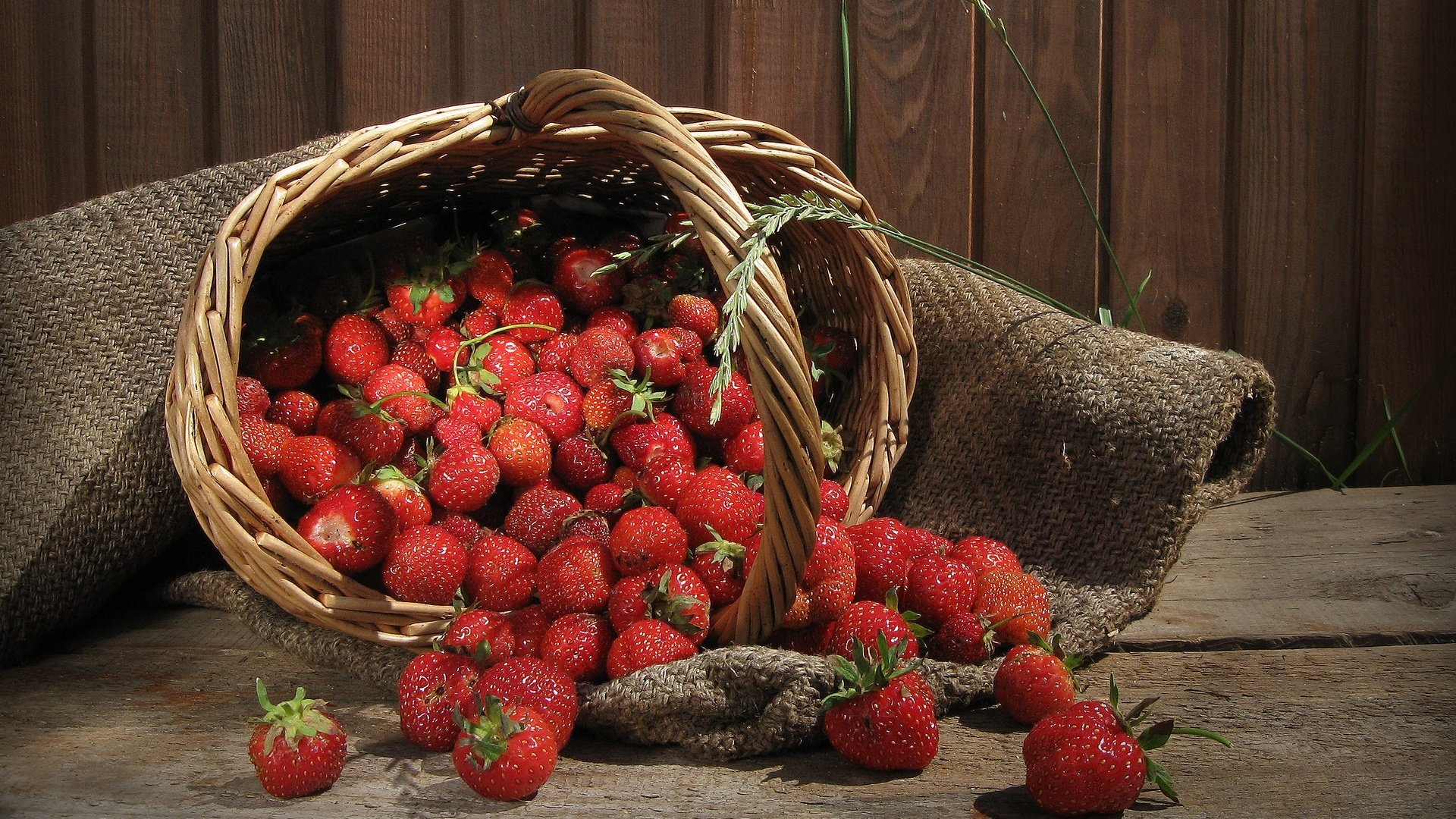 Обои клубника, ягоды, корзинка, мешковина, strawberry, berries, basket, burlap разрешение 1920x1200 Загрузить