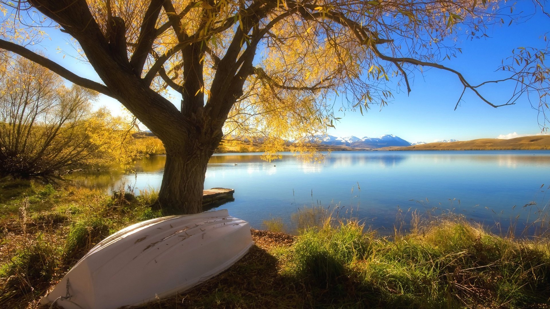 Обои озеро, дерево, осень, лодка, lake, tree, autumn, boat разрешение 2560x1600 Загрузить