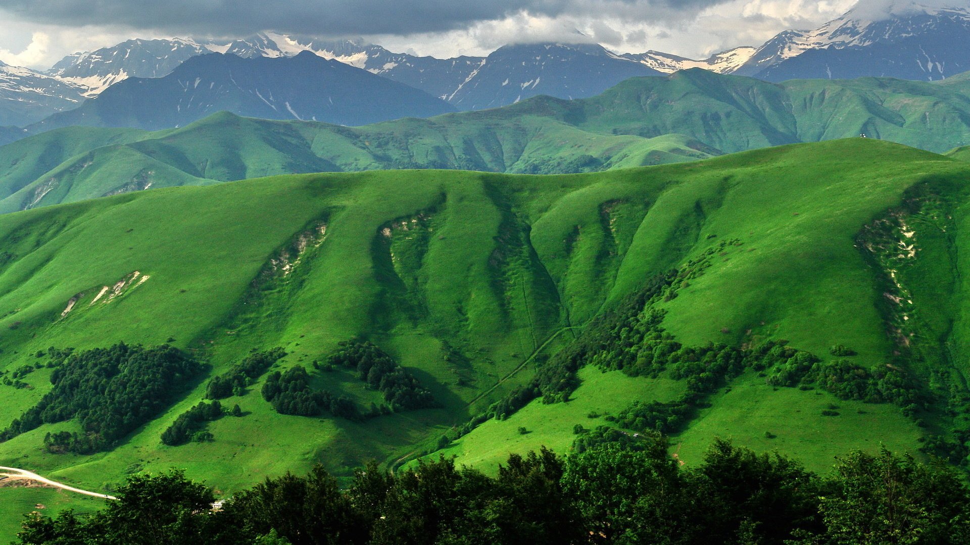 Обои трава, горы, южная осетия, grass, mountains, south ossetia разрешение 1920x1200 Загрузить