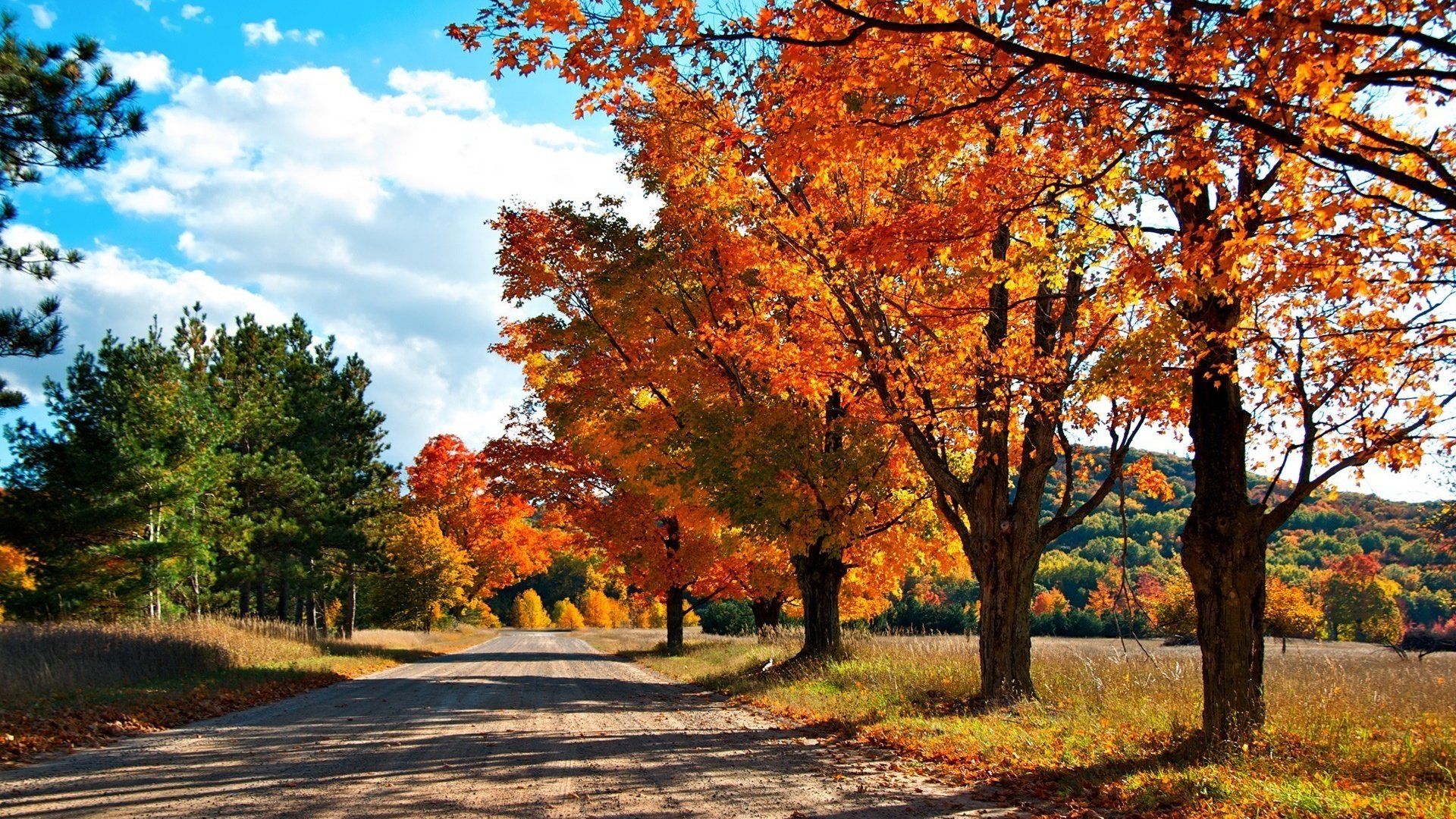 Обои дорога, деревья, лес, осень, краски осени, road, trees, forest, autumn, the colors of autumn разрешение 1920x1200 Загрузить