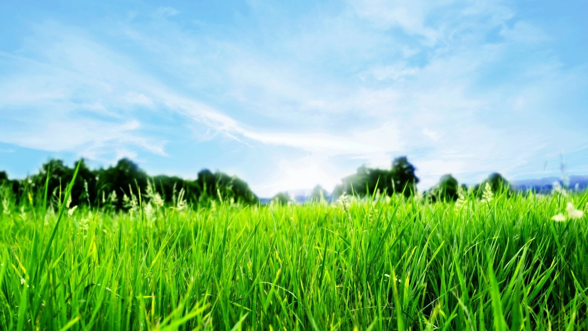 Обои небо, трава, природа, пейзаж, the sky, grass, nature, landscape разрешение 2560x1600 Загрузить