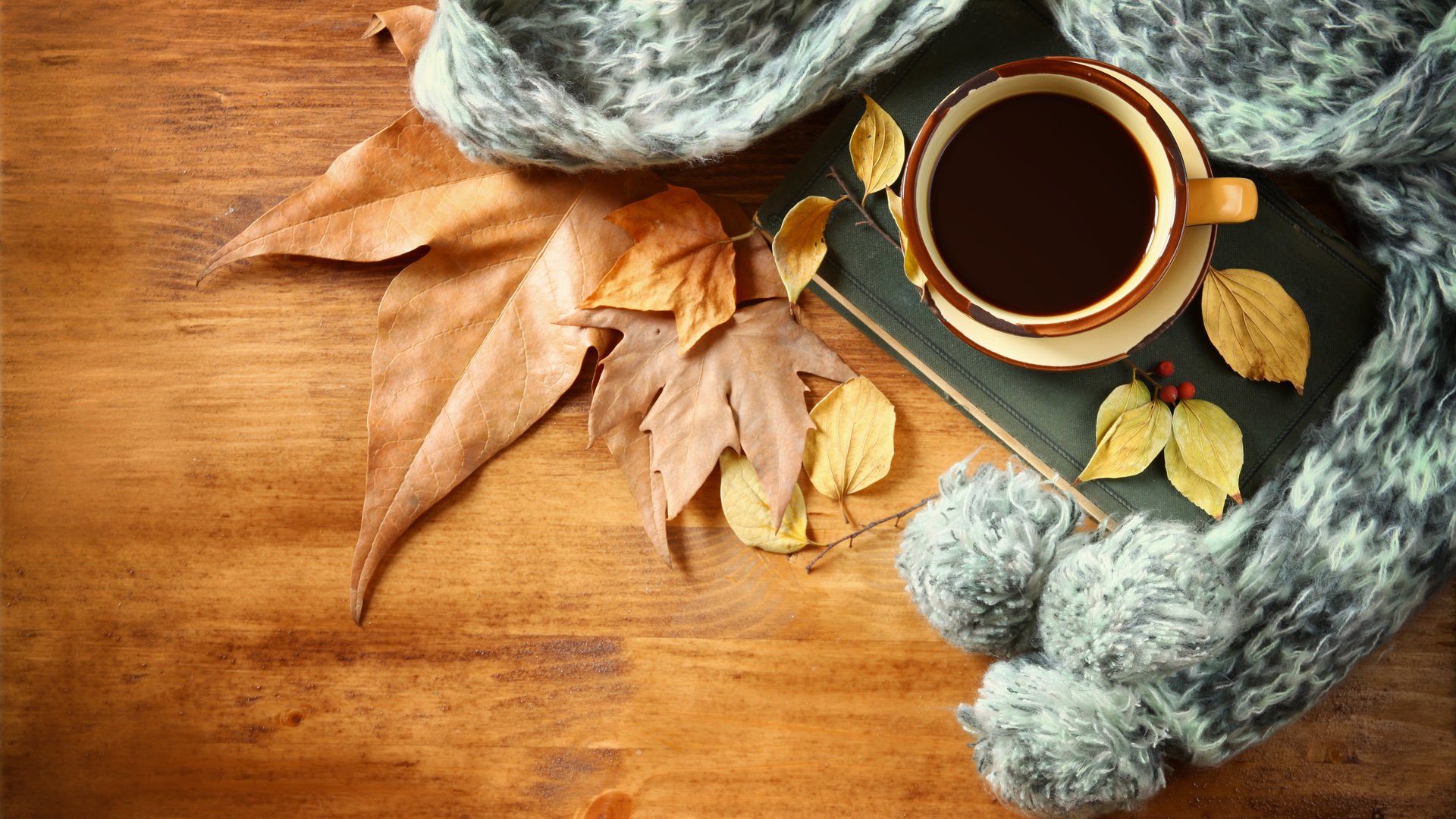 Обои листья, осень, кофе, чашка, шарф, leaves, autumn, coffee, cup, scarf разрешение 4644x3096 Загрузить