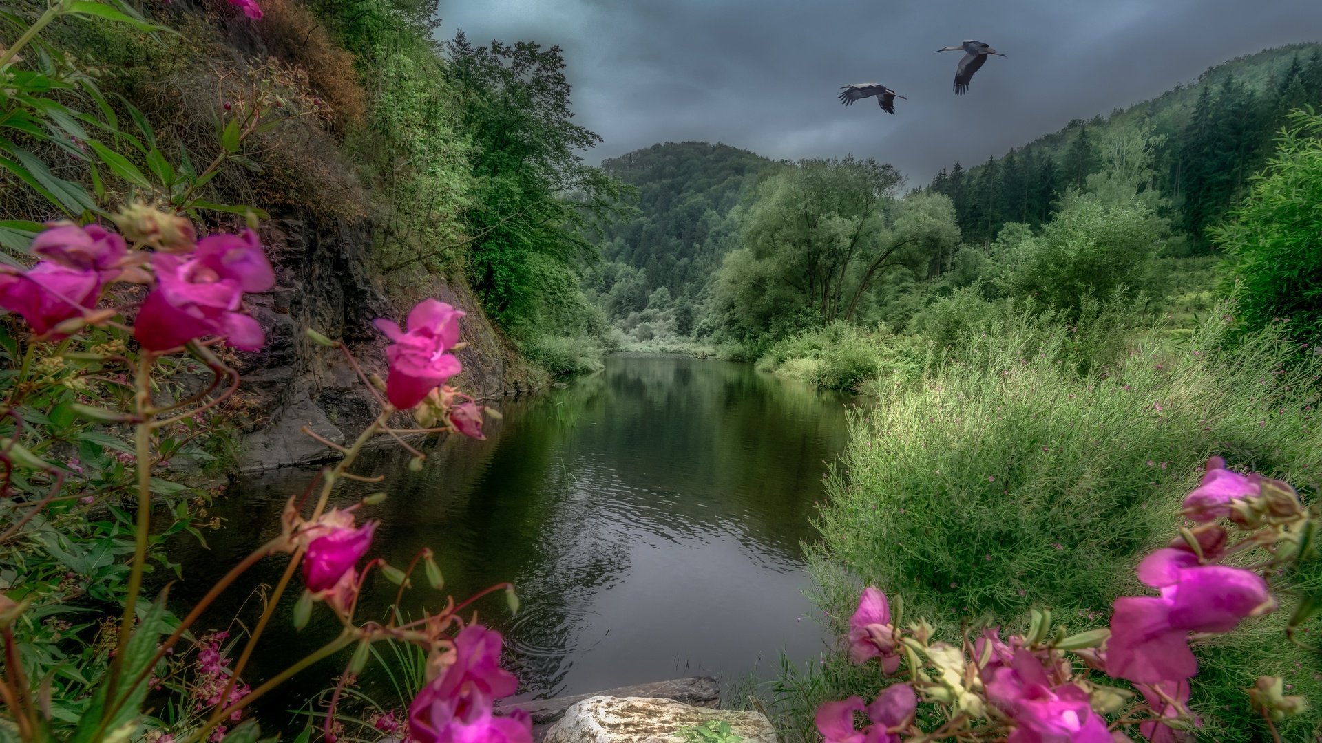 Обои деревья, река, горы, пейзаж, австрия, журавли, river kamp, trees, river, mountains, landscape, austria, cranes разрешение 2880x1922 Загрузить