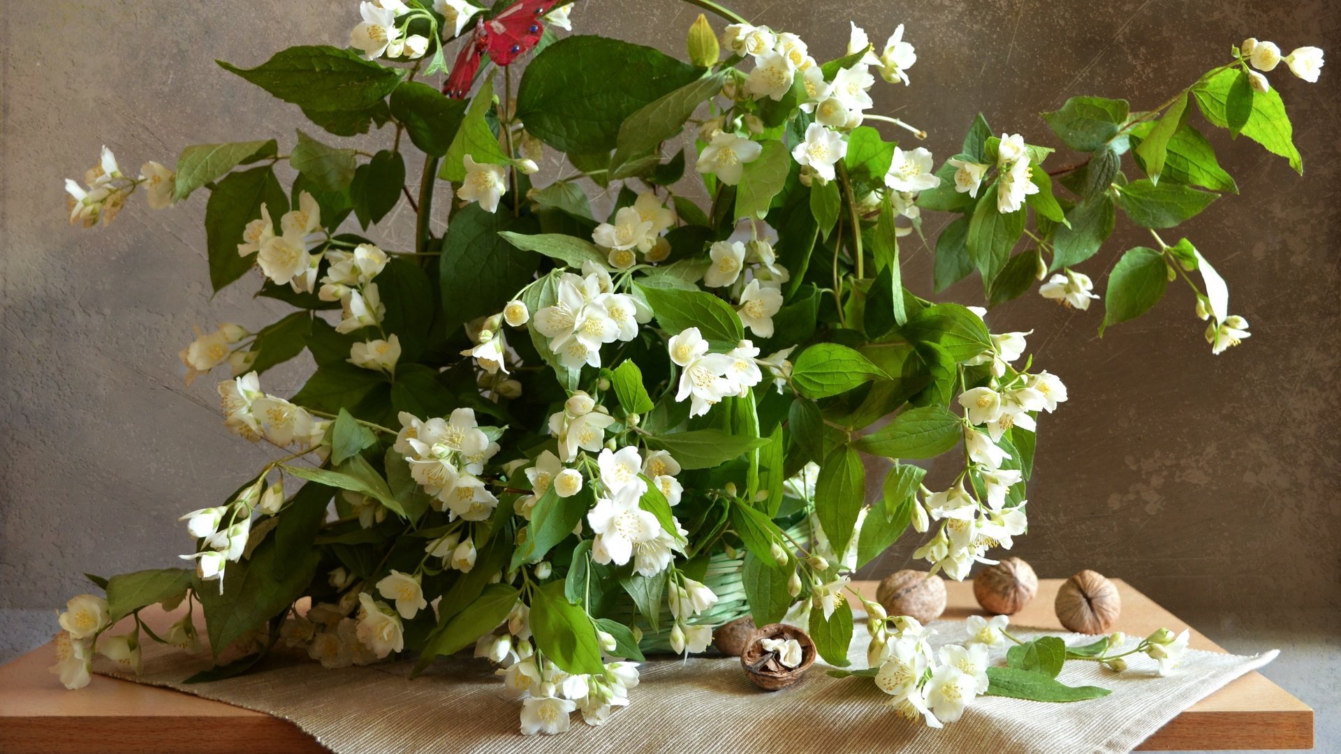 Обои орехи, лето, букет, натюрморт, жасмин, грецкие, nuts, summer, bouquet, still life, jasmine, walnut разрешение 3000x1925 Загрузить