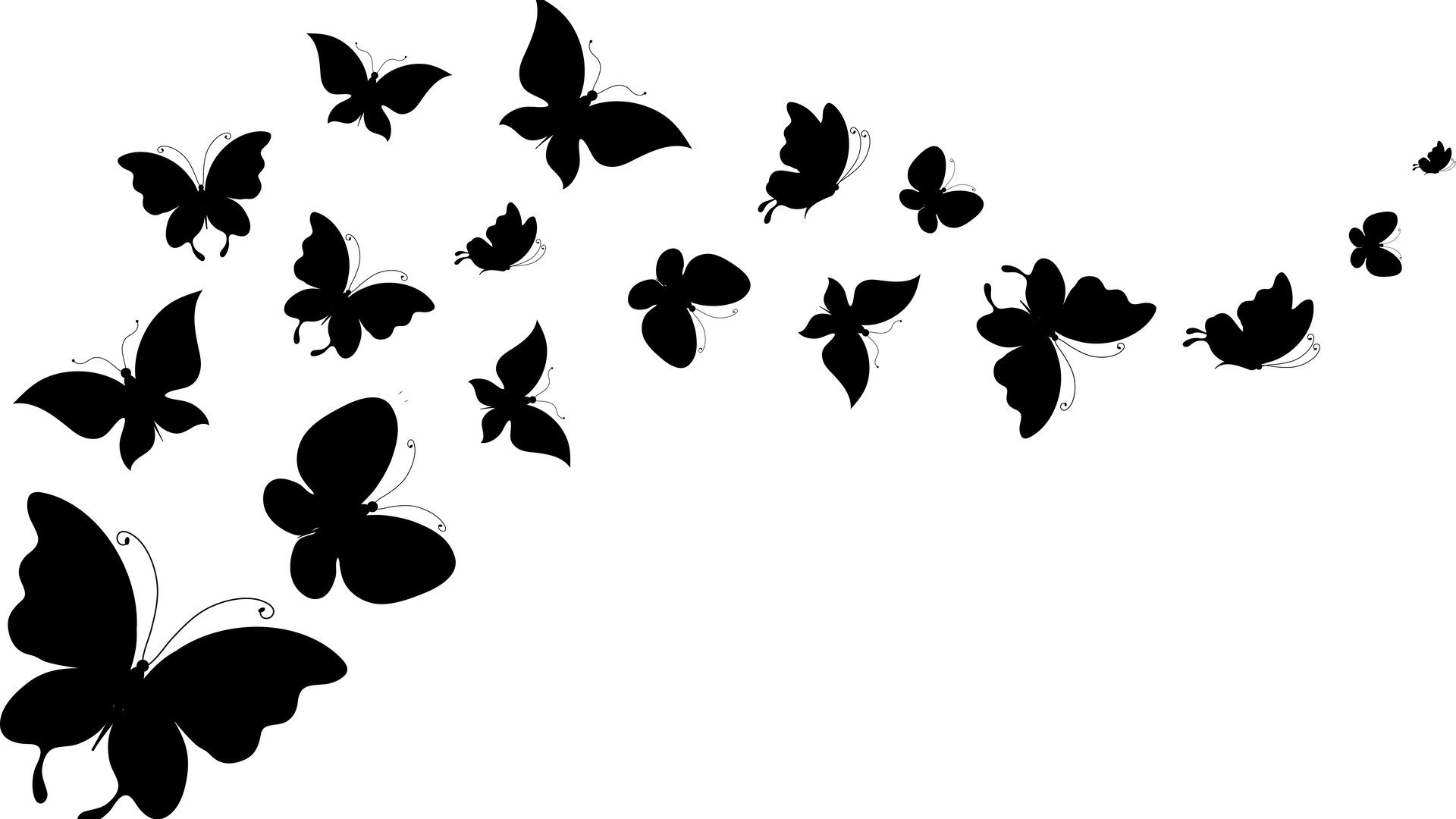 Обои фон, крылья, белый, силуэты, бабочки, background, wings, white, silhouettes, butterfly разрешение 5420x3097 Загрузить