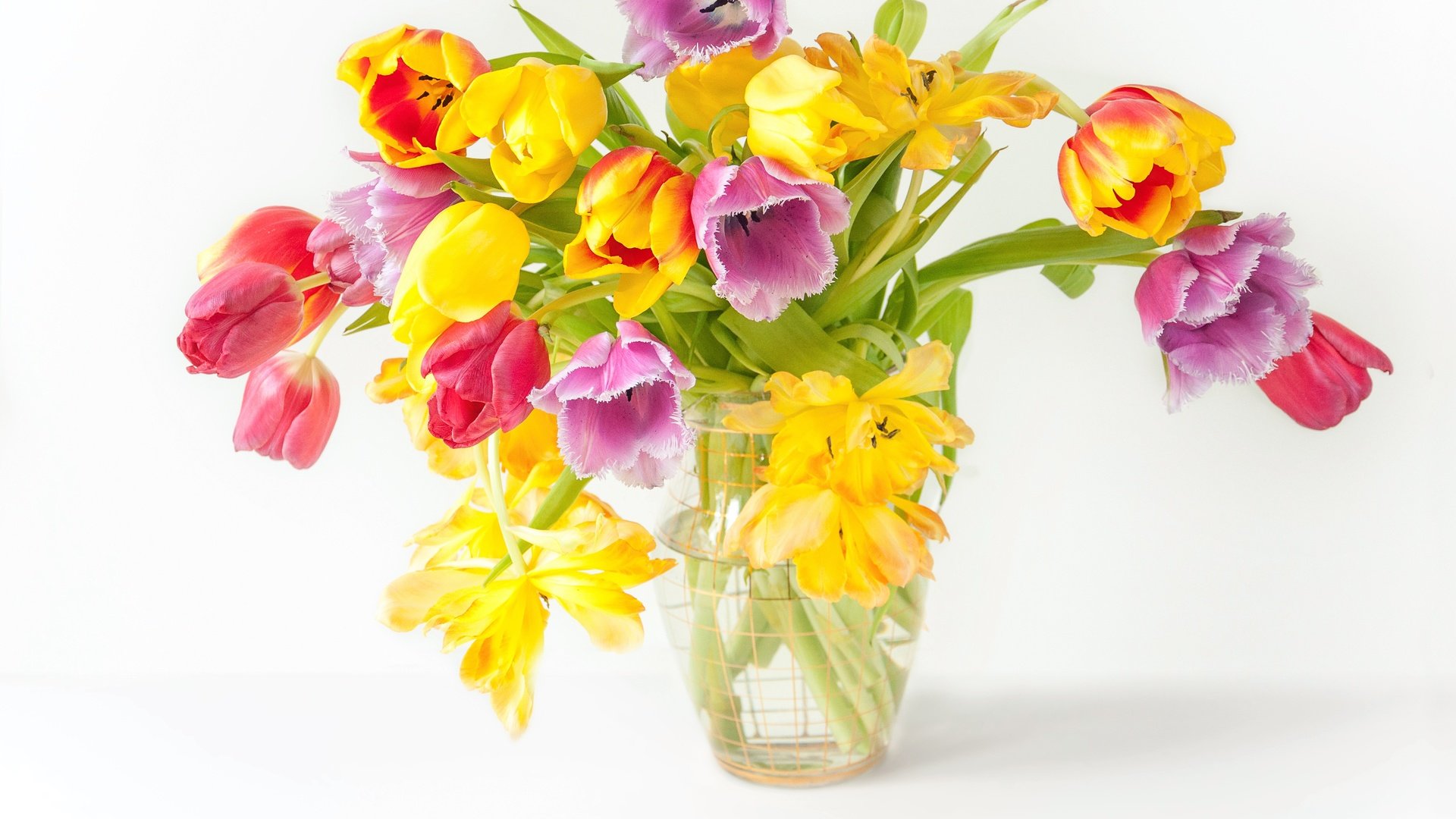 Обои парное, цветы, весенние, весна, красочная, букет, тюльпаны, дерева, красива, тульпаны,  цветы, яркая, fresh, flowers, spring, colorful, bouquet, tulips, wood, beautiful, bright разрешение 4288x2848 Загрузить
