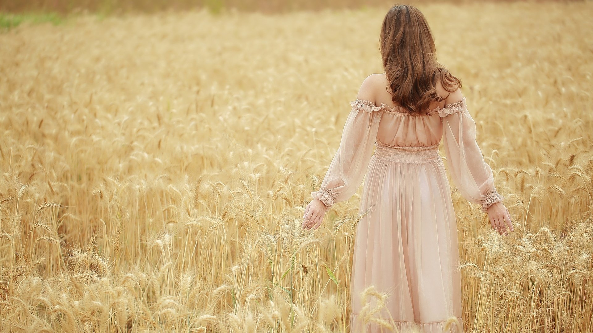 Обои девушка, платье, поле, колосья, пшеница, волосы, girl, dress, field, ears, wheat, hair разрешение 2048x1365 Загрузить