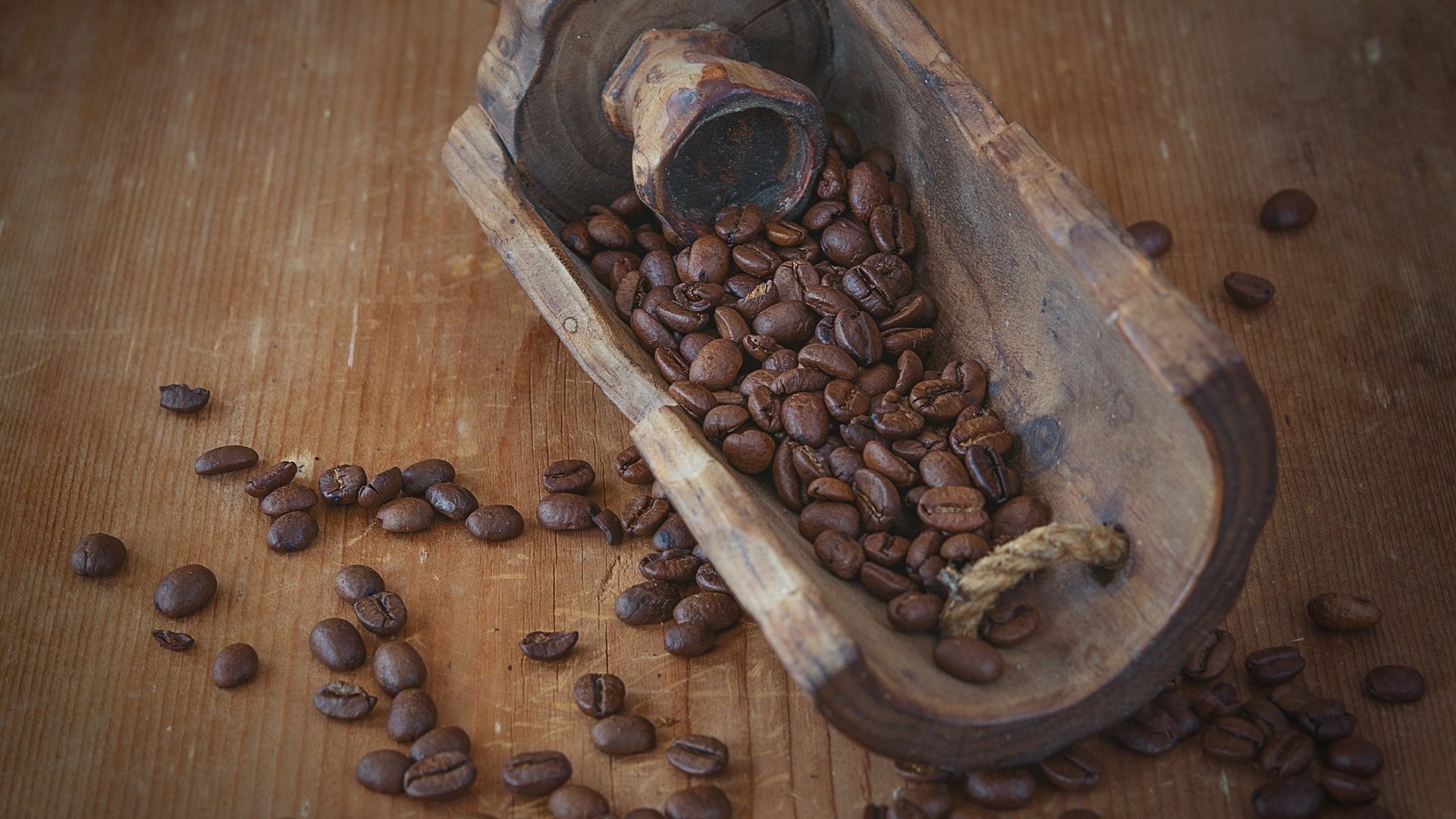 Обои кофе, кофейные зерна, лопатка, кофе в зернах, жареный, coffee, coffee beans, blade, coffee bean, fried разрешение 2000x1333 Загрузить