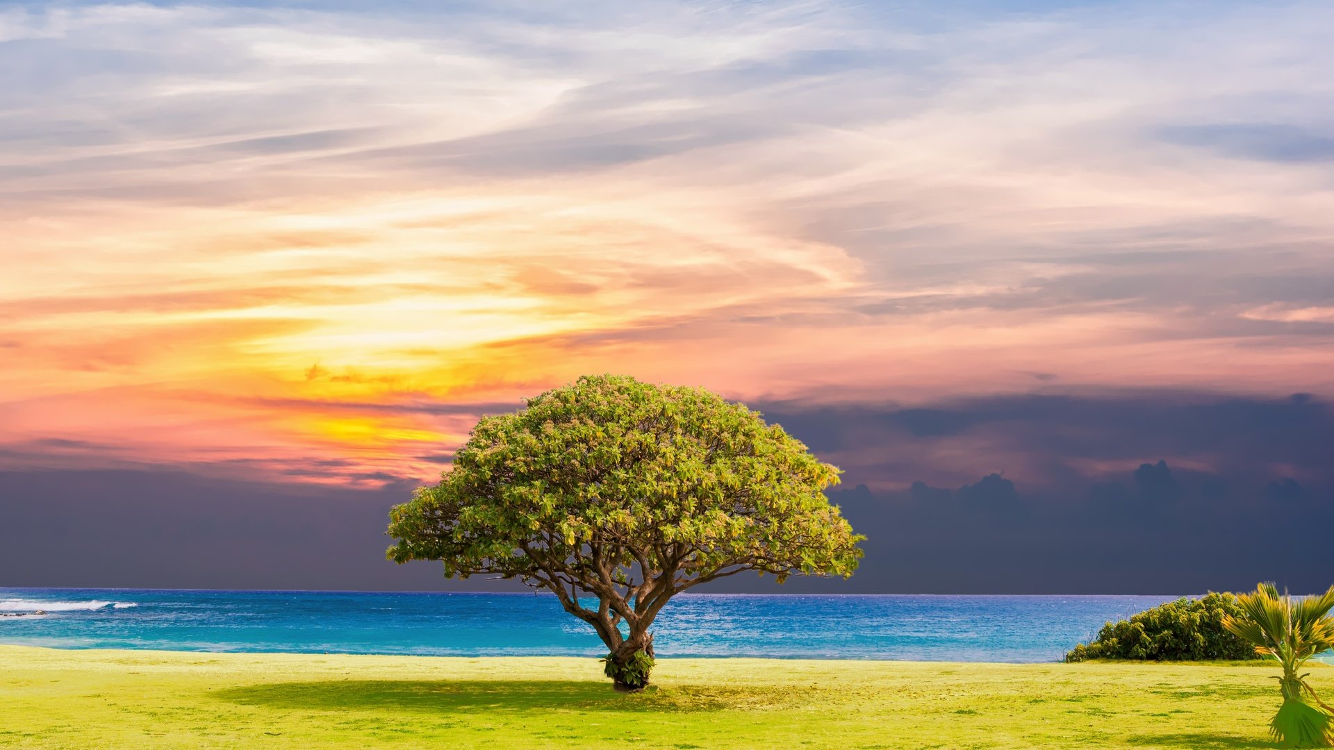 Обои природа, дерево, закат, пейзаж, море, горизонт,     дерево, nature, tree, sunset, landscape, sea, horizon разрешение 5232x3744 Загрузить