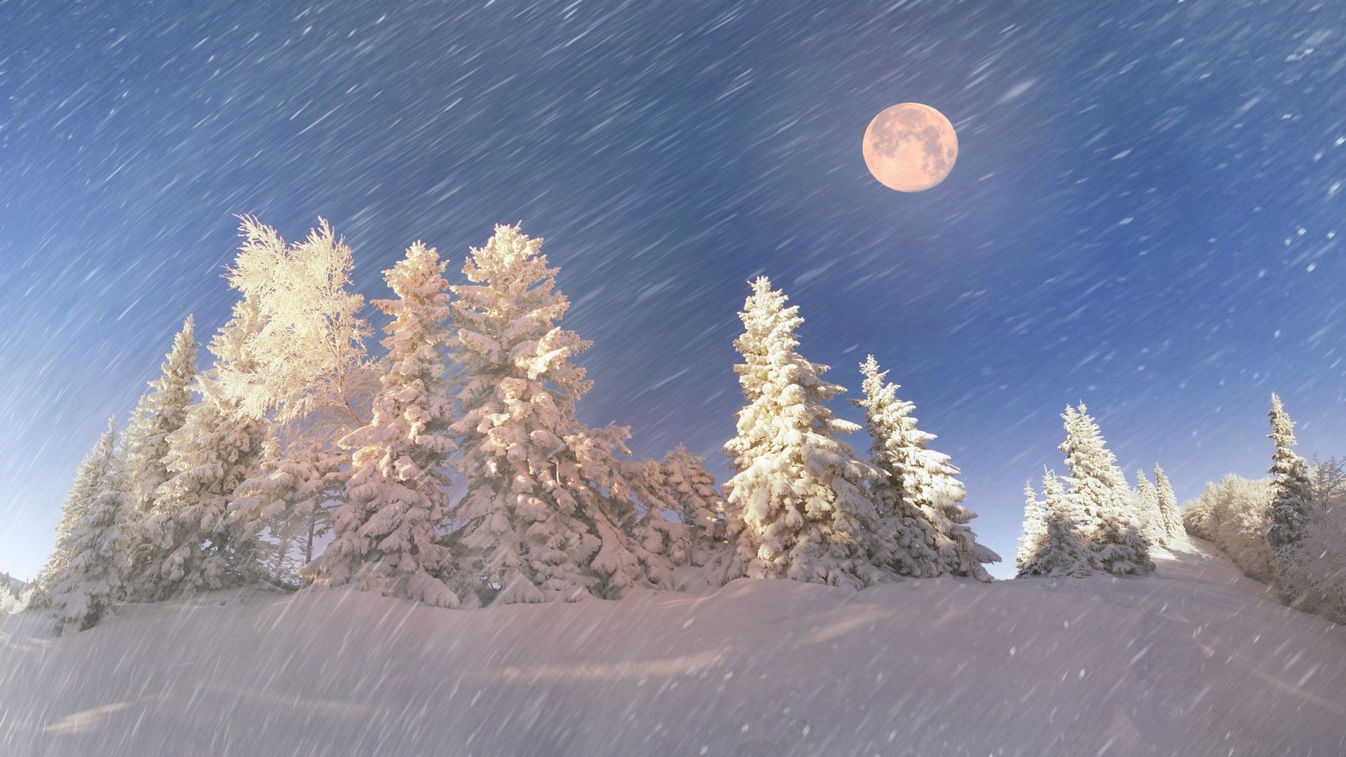 Обои небо, снегопад, деревья, снег, природа, лес, зима, снежинки, луна, the sky, snowfall, trees, snow, nature, forest, winter, snowflakes, the moon разрешение 2880x1800 Загрузить
