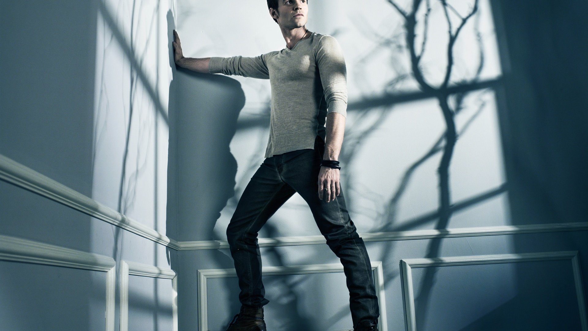 Обои тень, джинсы, мужчина, дэниел гиллис, daniel gillies, shadow, jeans, male, daniel gillis разрешение 8984x6732 Загрузить