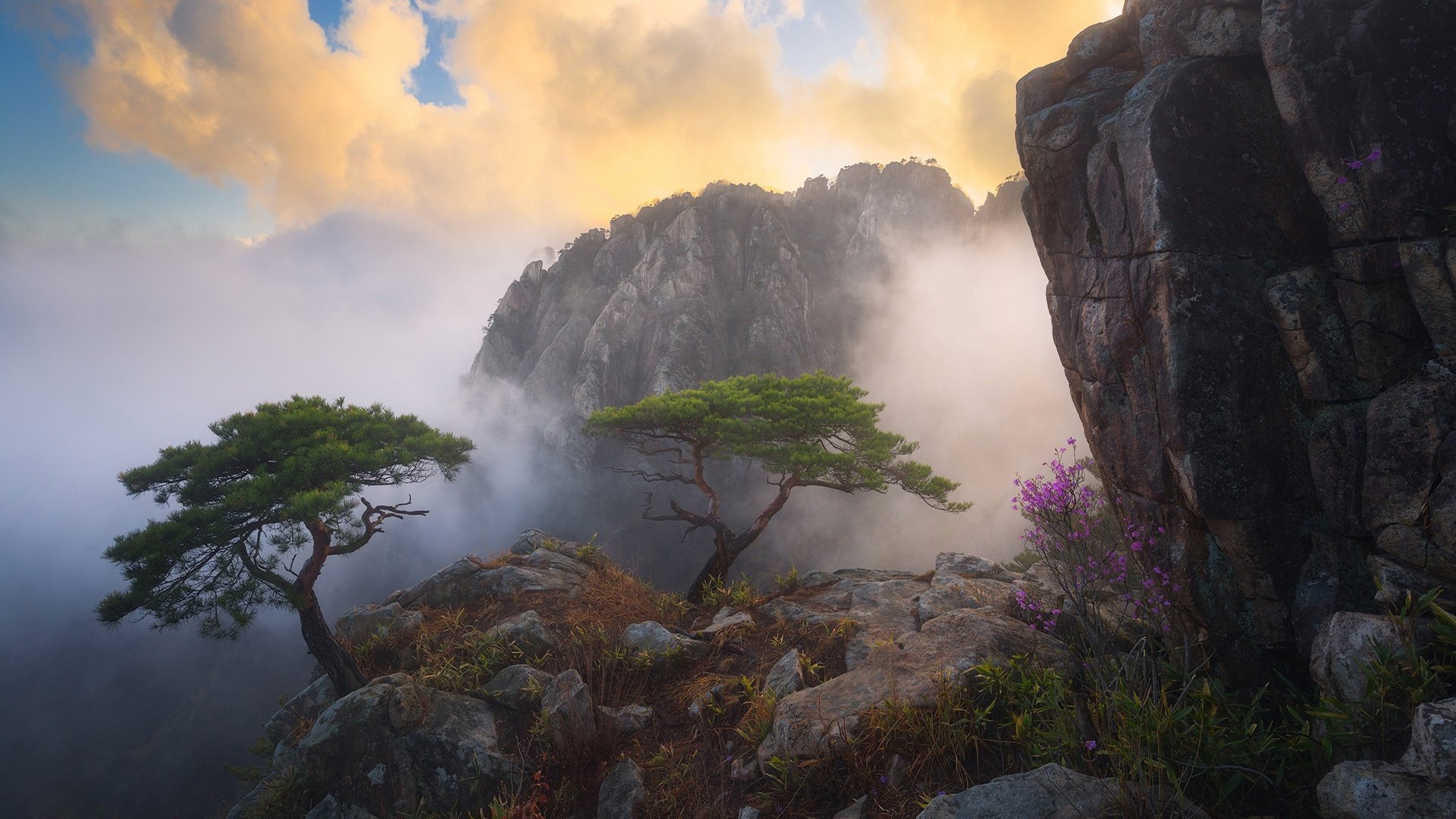 Обои цветы, облака, деревья, горы, скалы, туман, куст, flowers, clouds, trees, mountains, rocks, fog, bush разрешение 2048x1152 Загрузить