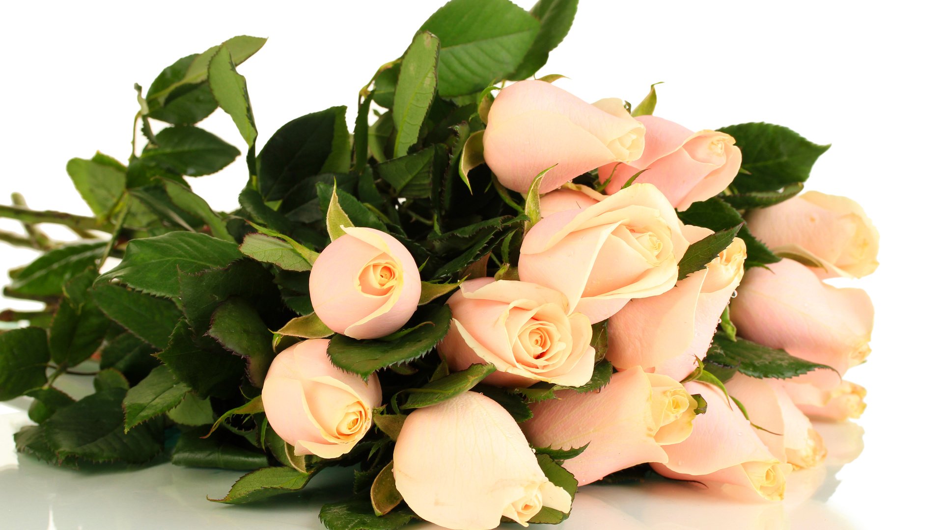 Обои цветы, бутоны, розы, букет, розовый, flowers, buds, roses, bouquet, pink разрешение 5000x3333 Загрузить