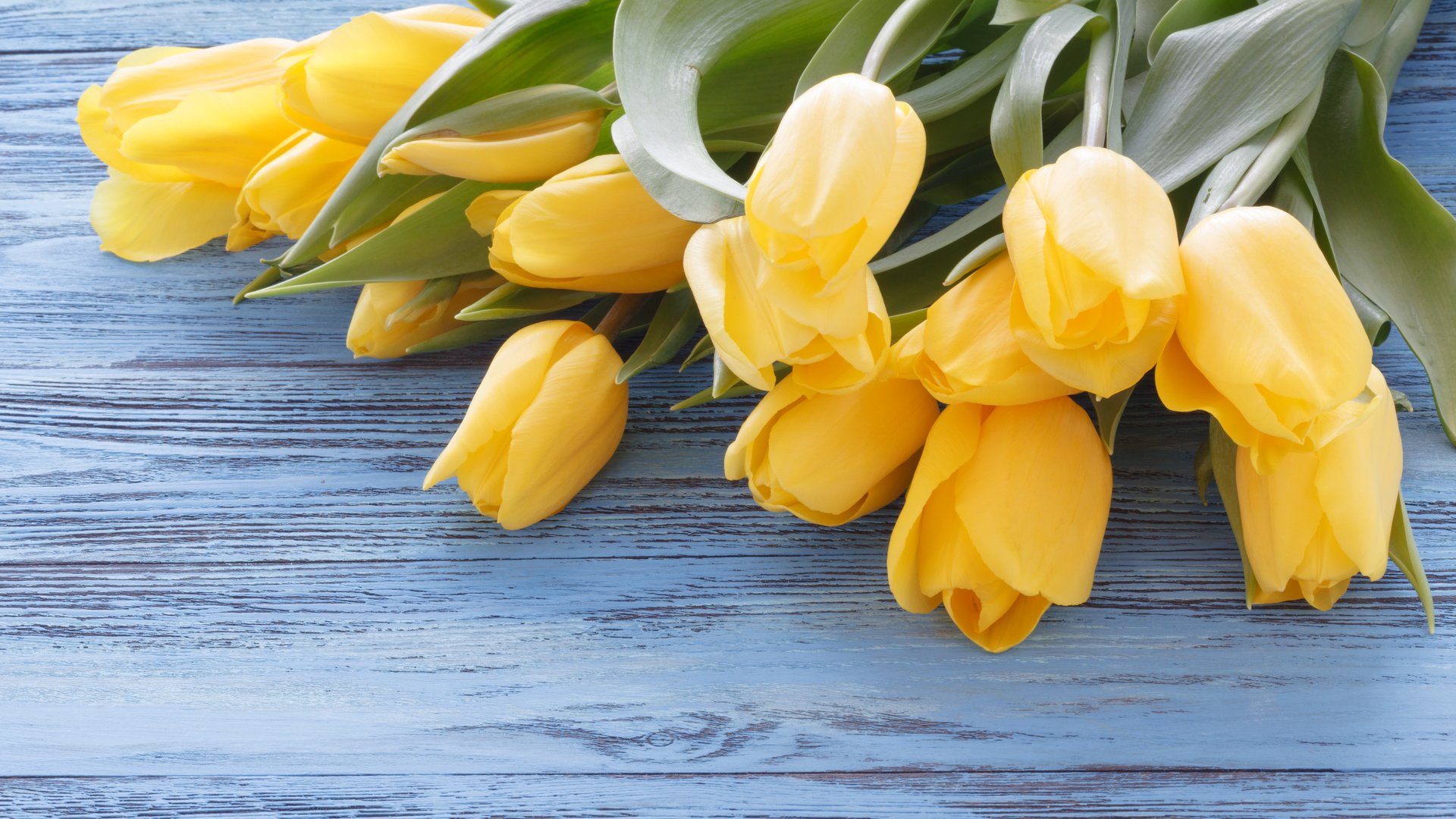 Обои стол, ткань, букет, тюльпаны, желтые, голубая, деревянная поверхность, table, fabric, bouquet, tulips, yellow, blue, wooden surface разрешение 5616x3744 Загрузить