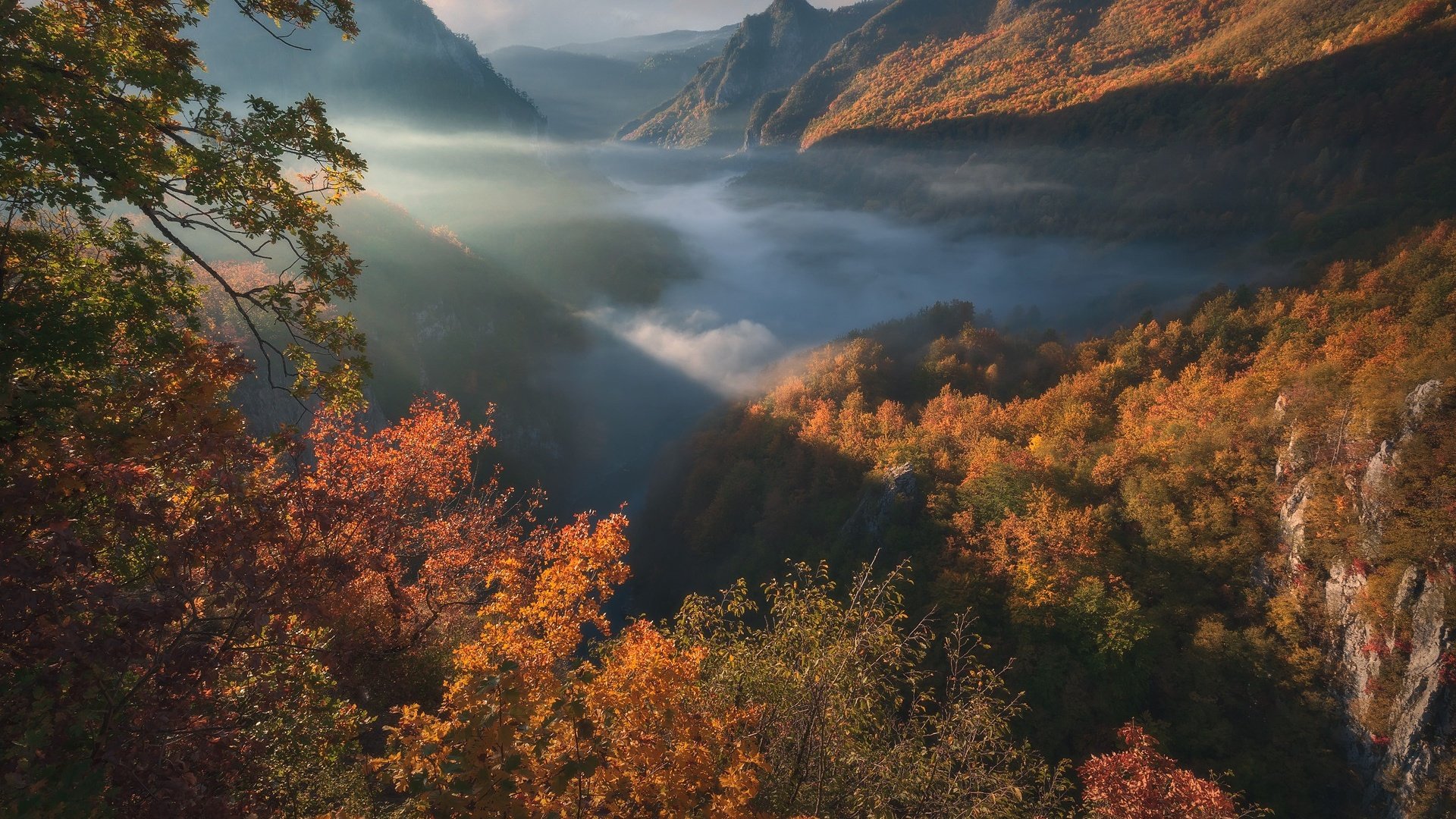 Обои горы, лес, осень, ущелье, черногория, mountains, forest, autumn, gorge, montenegro разрешение 1920x1280 Загрузить