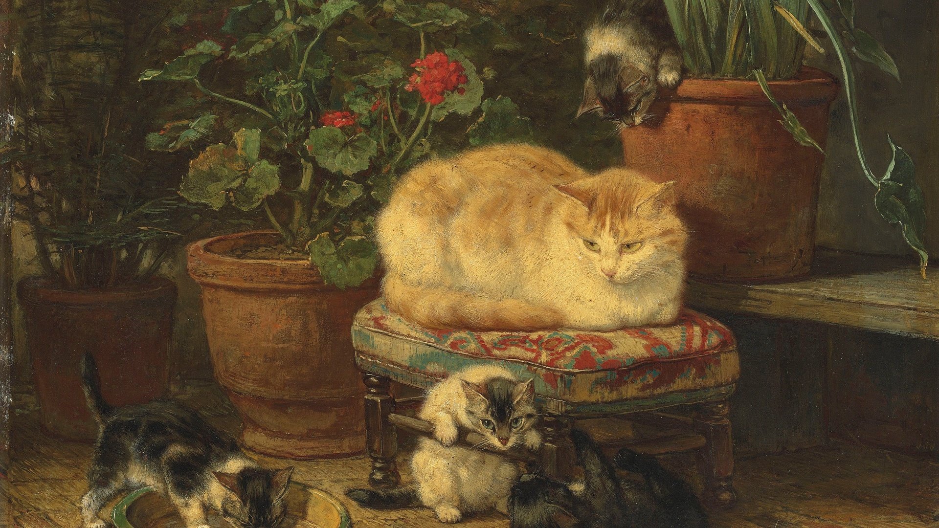 Обои кошка, масло, котята, cat, oil, kittens разрешение 3200x2342 Загрузить