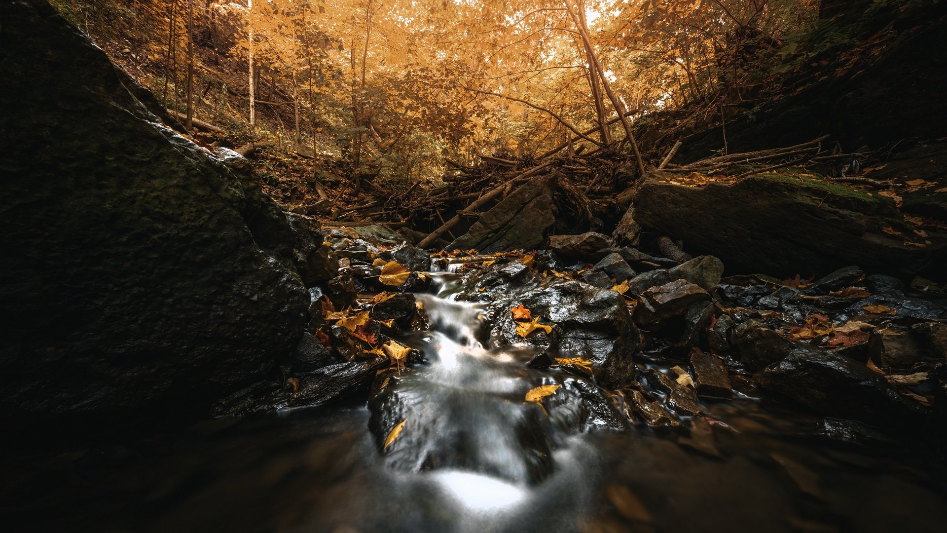 Обои река, природа, осень, river, nature, autumn разрешение 3840x2160 Загрузить