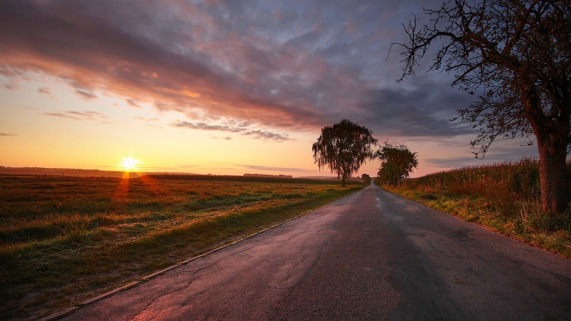 Обои дорога, закат, поле, road, sunset, field разрешение 2048x1300 Загрузить